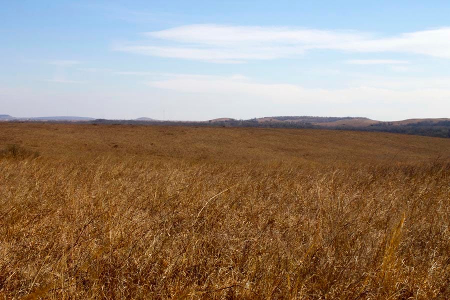 Cowboy Meadows Tract 24 photo 6