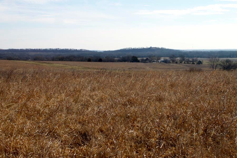 Cowboy Meadows Tract 24 photo 8
