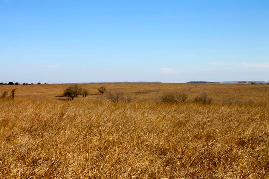 Cowboy Meadows Tract 24 photo 9