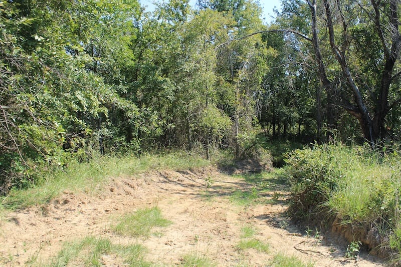 Daisy Meadows Tract 42 photo 1