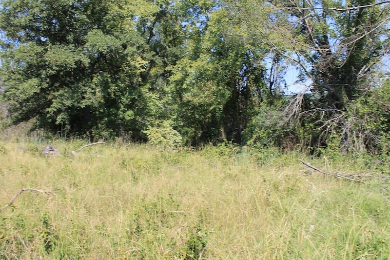Daisy Meadows Tract 42 photo 2
