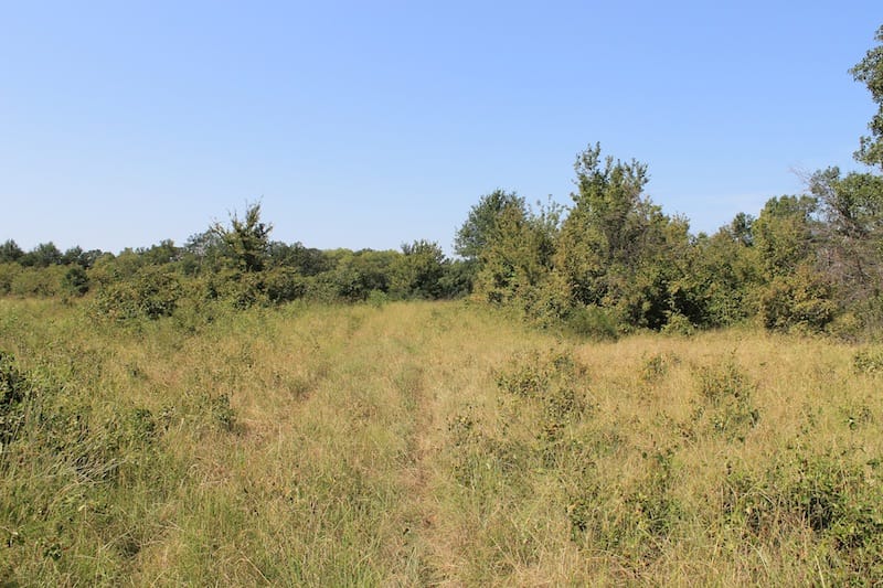 Daisy Meadows Tract 42 photo 3