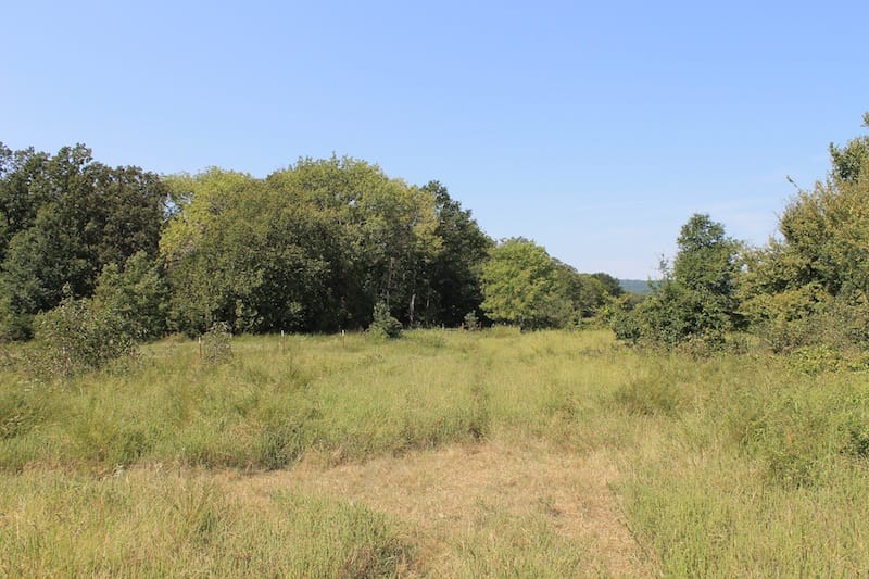 Daisy Meadows Tract 42 photo 6
