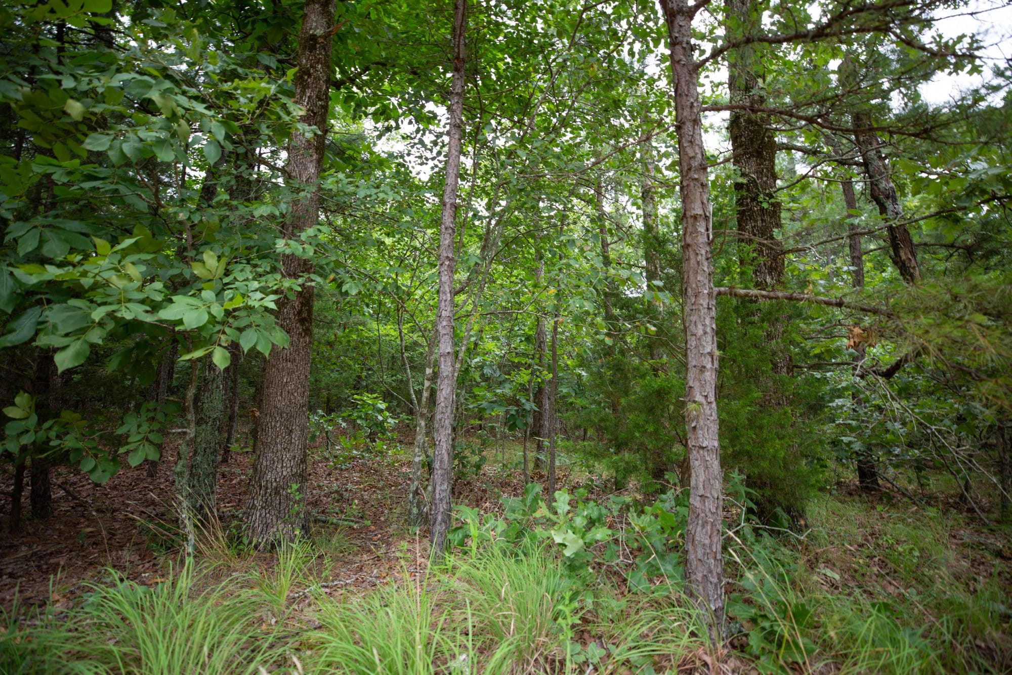 Eagle’s Nest Tract 69 photo 3