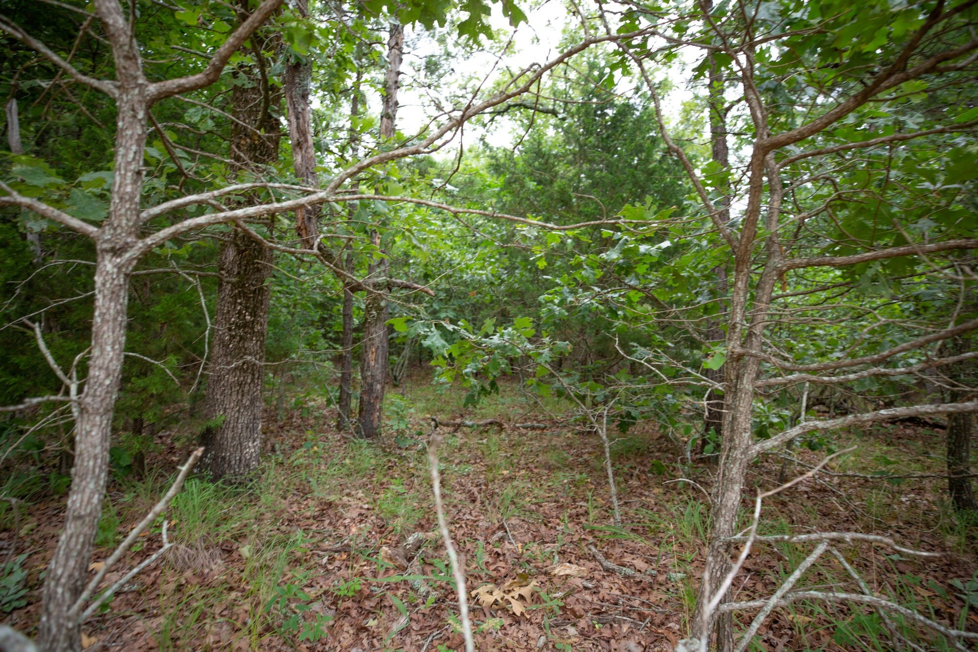 Eagle’s Nest Tract 69 photo 4