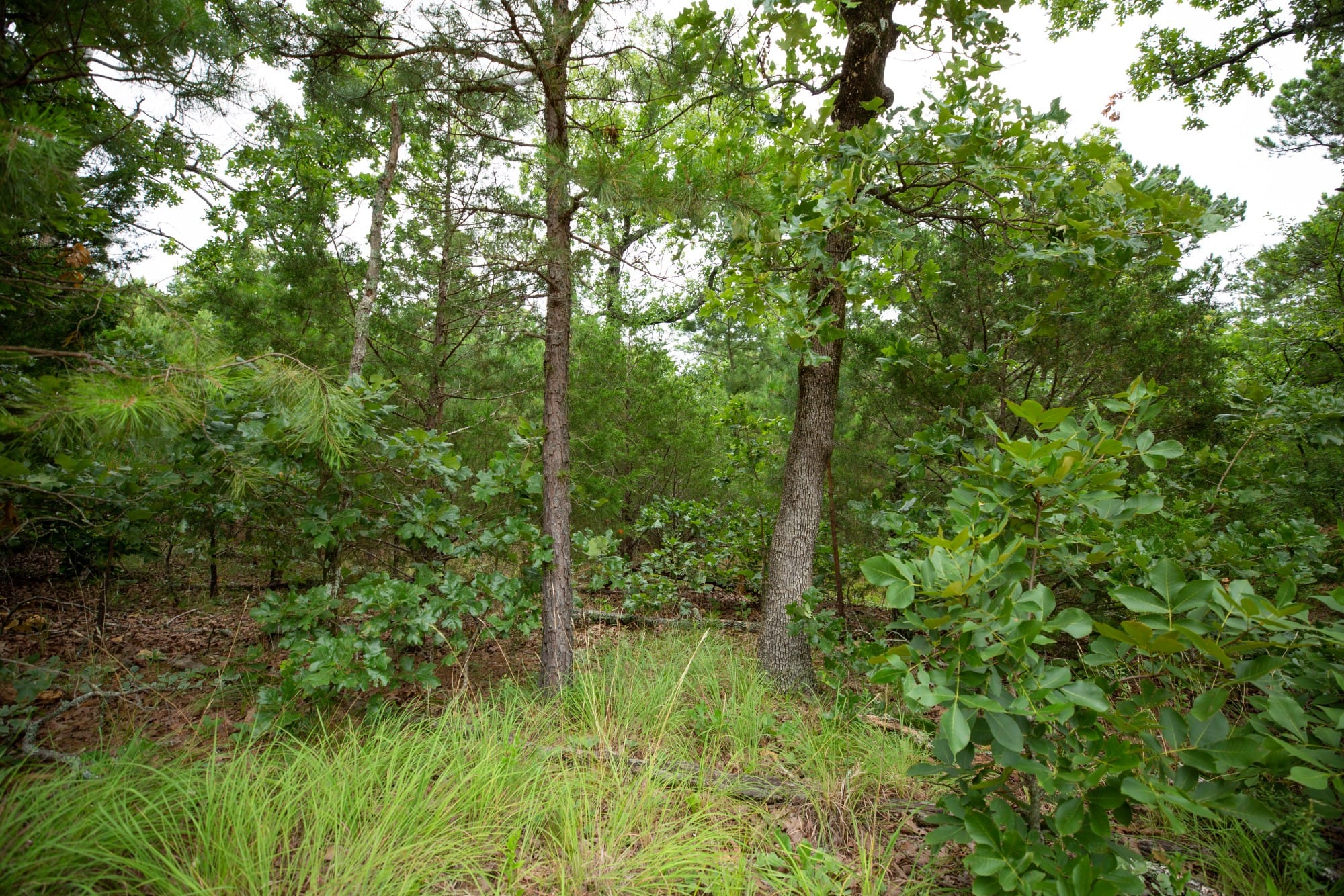 Eagle’s Nest Tract 69 photo 8