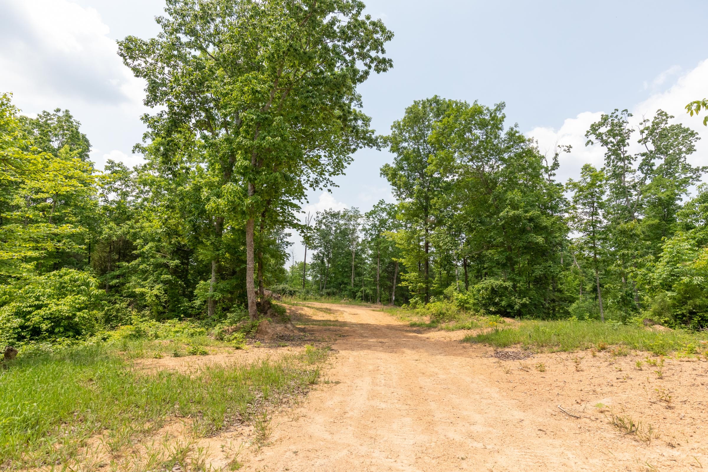 Cedar Creek Tract 9 photo 7