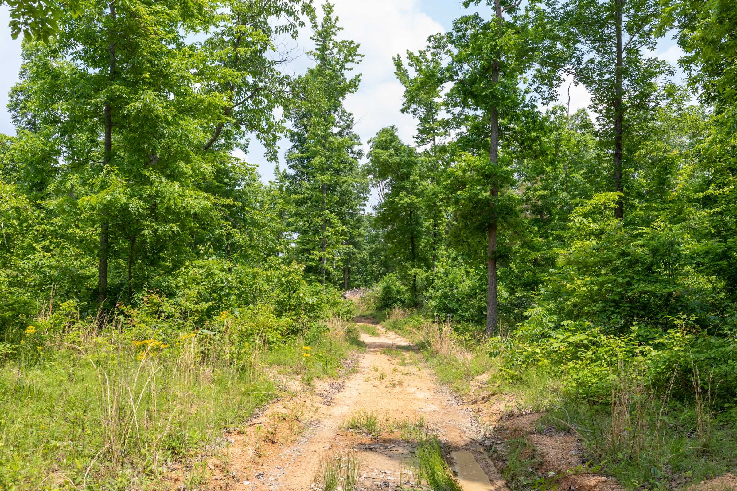 Cedar Creek Tract 9 photo 4