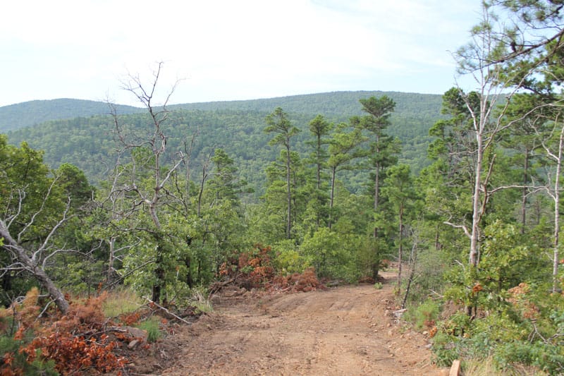 Trophy Ridge Phase III Tract 25 photo 1