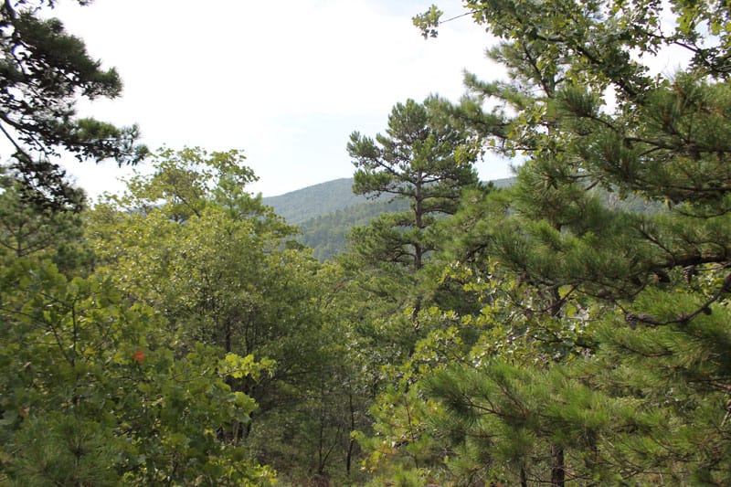 Trophy Ridge Phase III Tract 25 photo 5