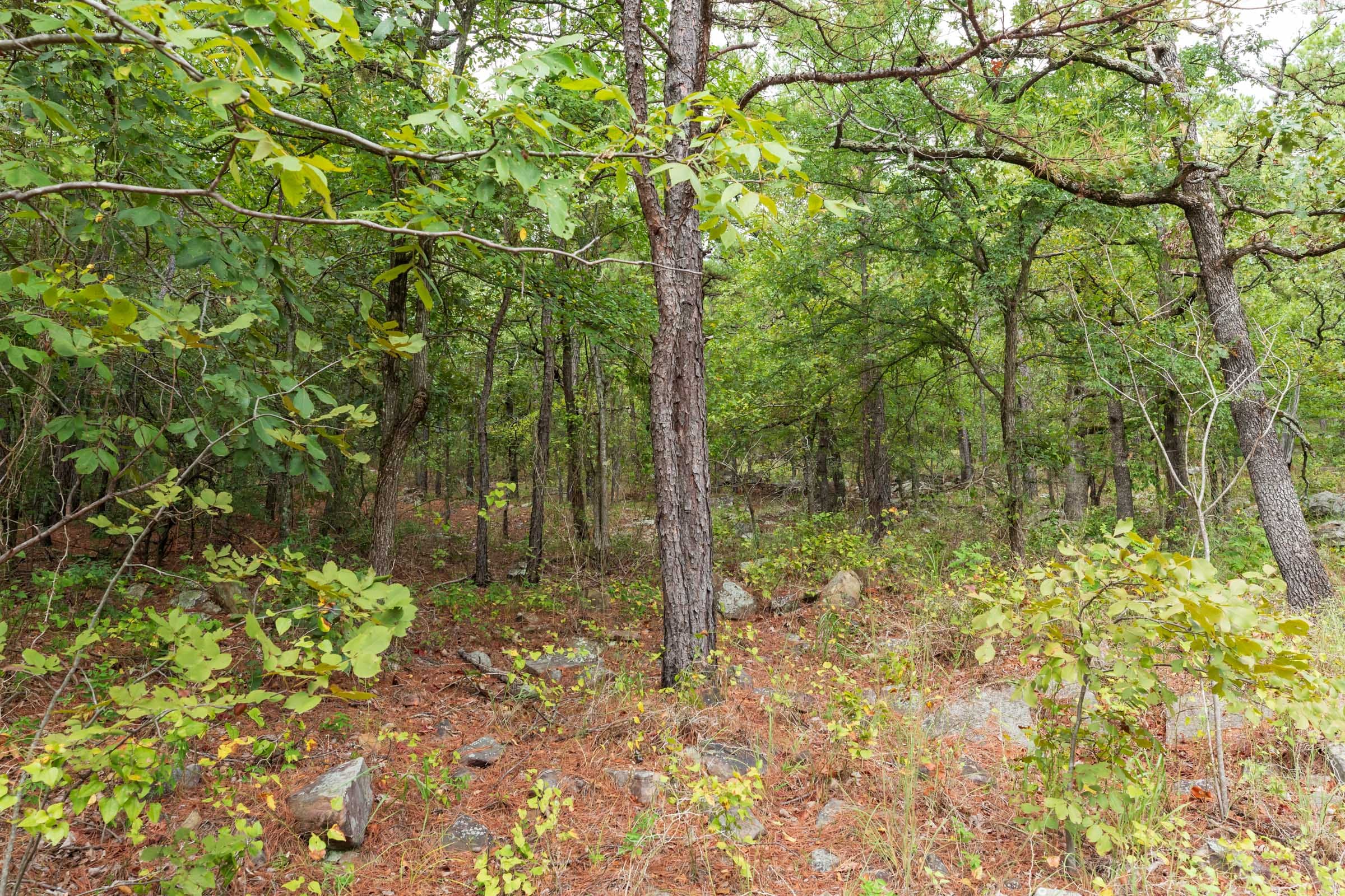 Stone Bridge Phase V Tract 346 photo 1
