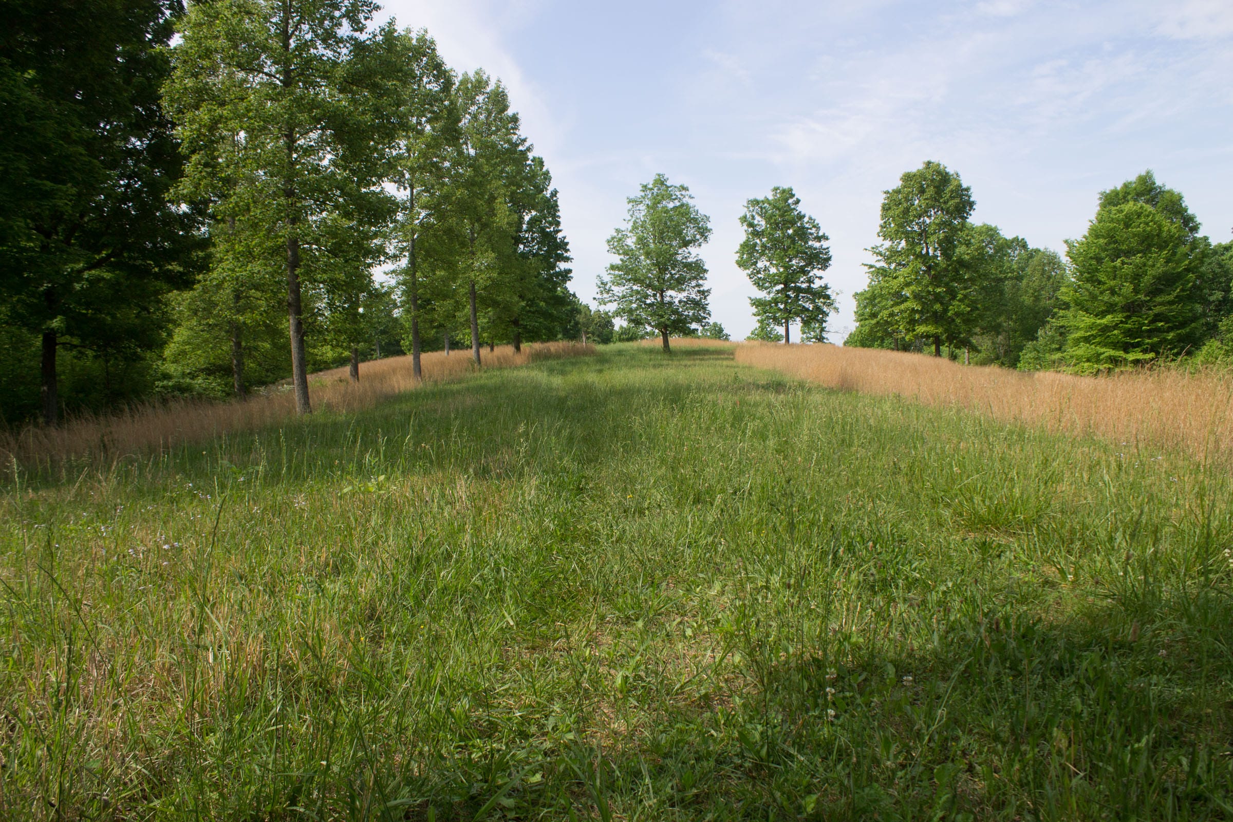 Laurel Ridge Tract 4 photo 2