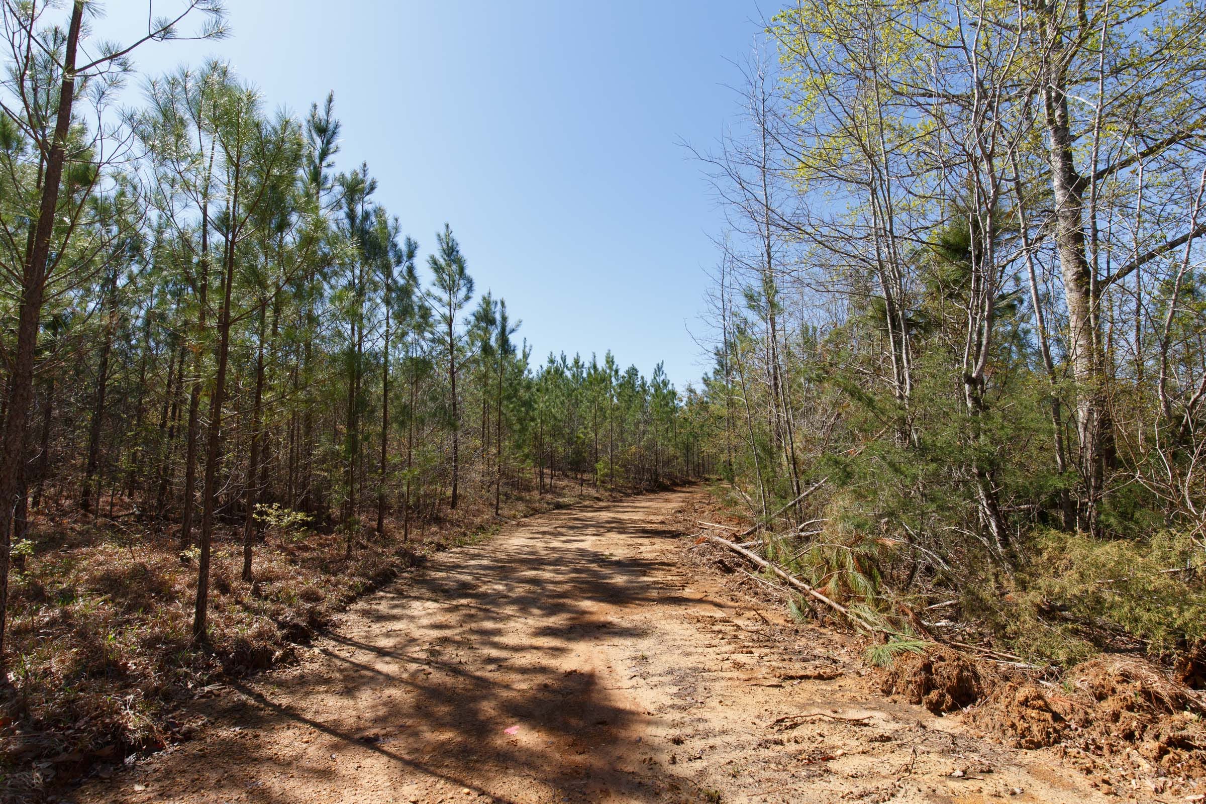 Southern Hills Tract 9 photo 2