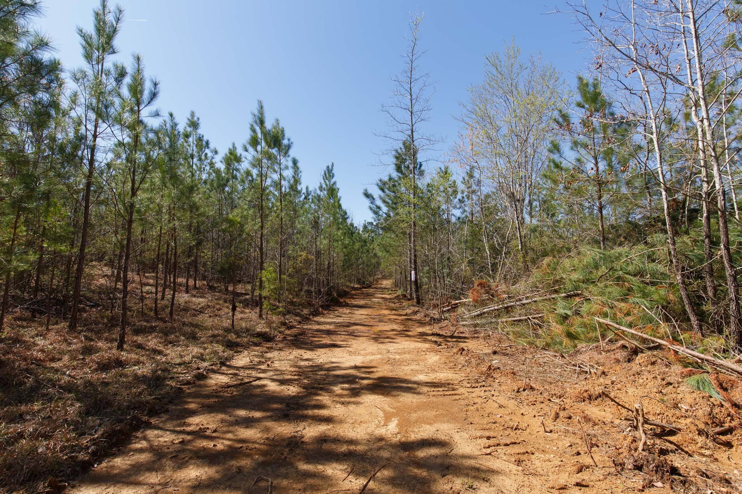 Southern Hills Tract 9 photo 6