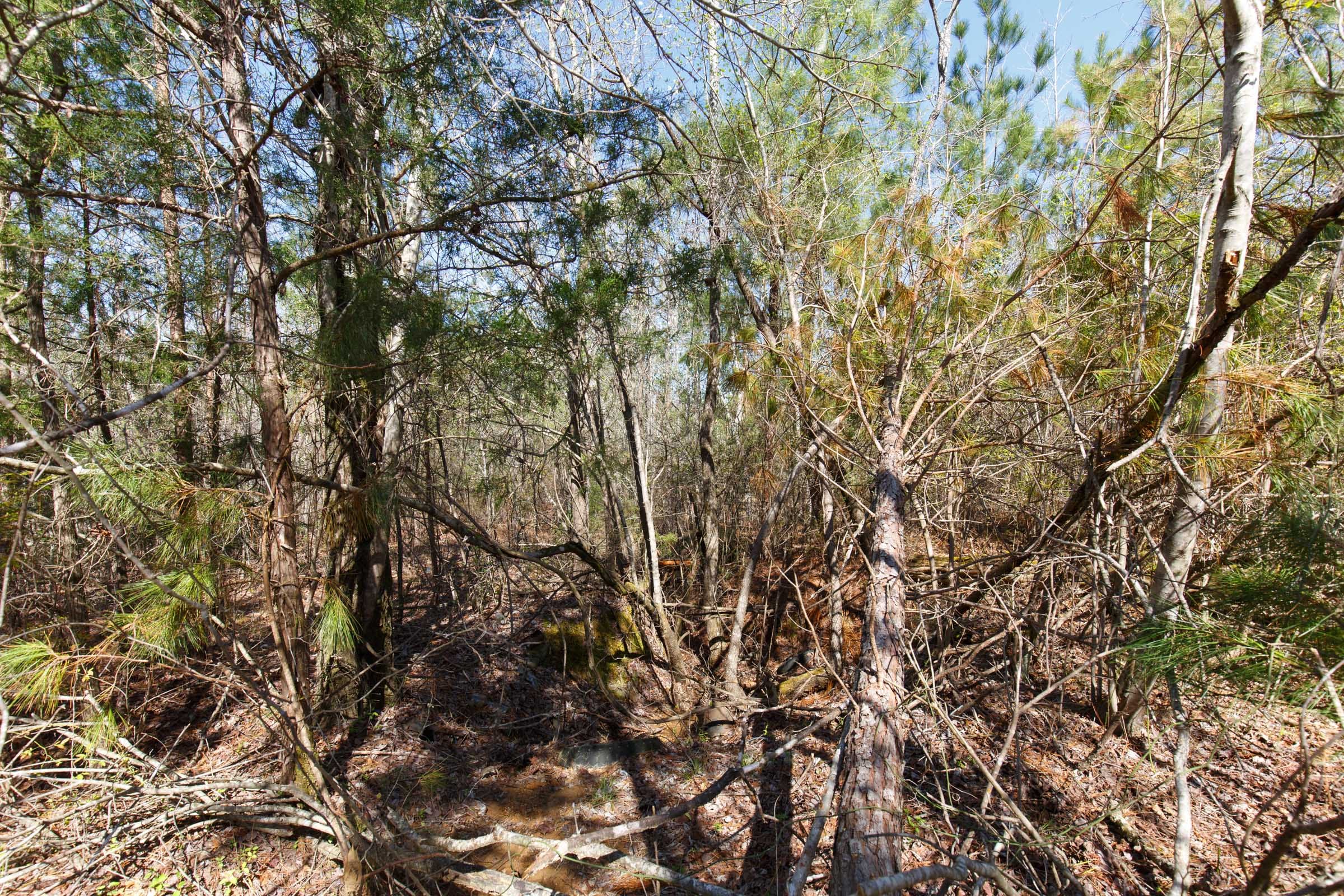 Southern Hills Tract 9 photo 4