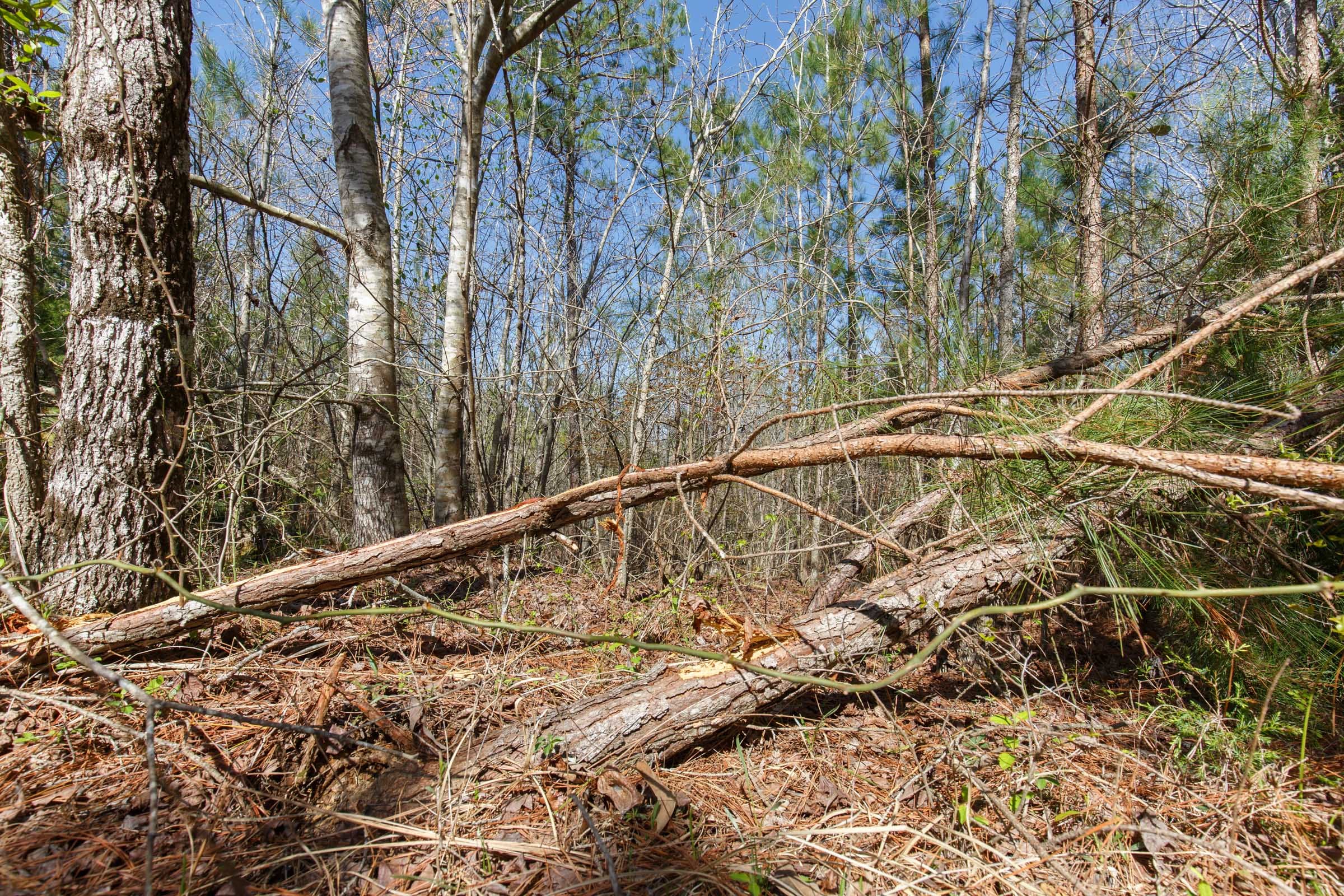 Southern Hills Tract 9 photo 5
