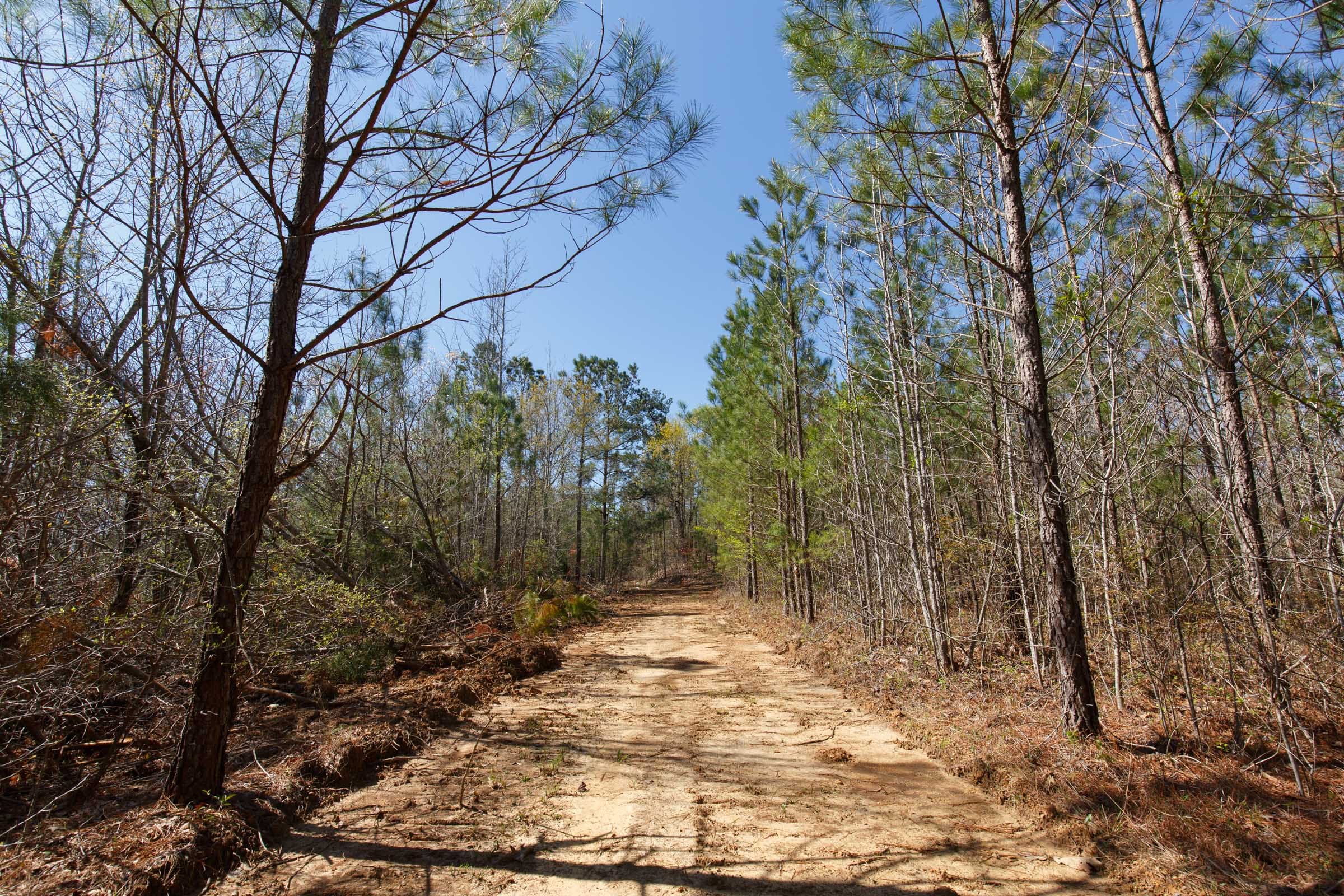 Southern Hills Tract 9 photo 11