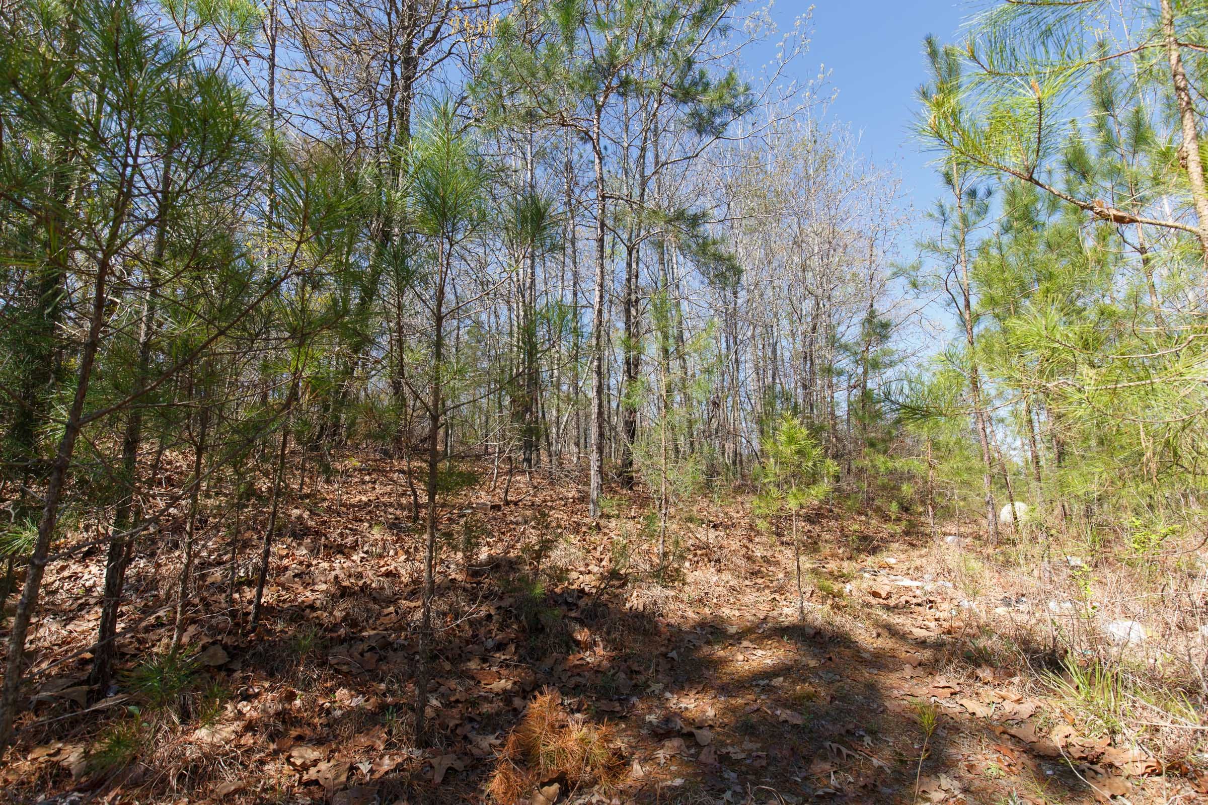 Southern Hills Tract 9 photo 15