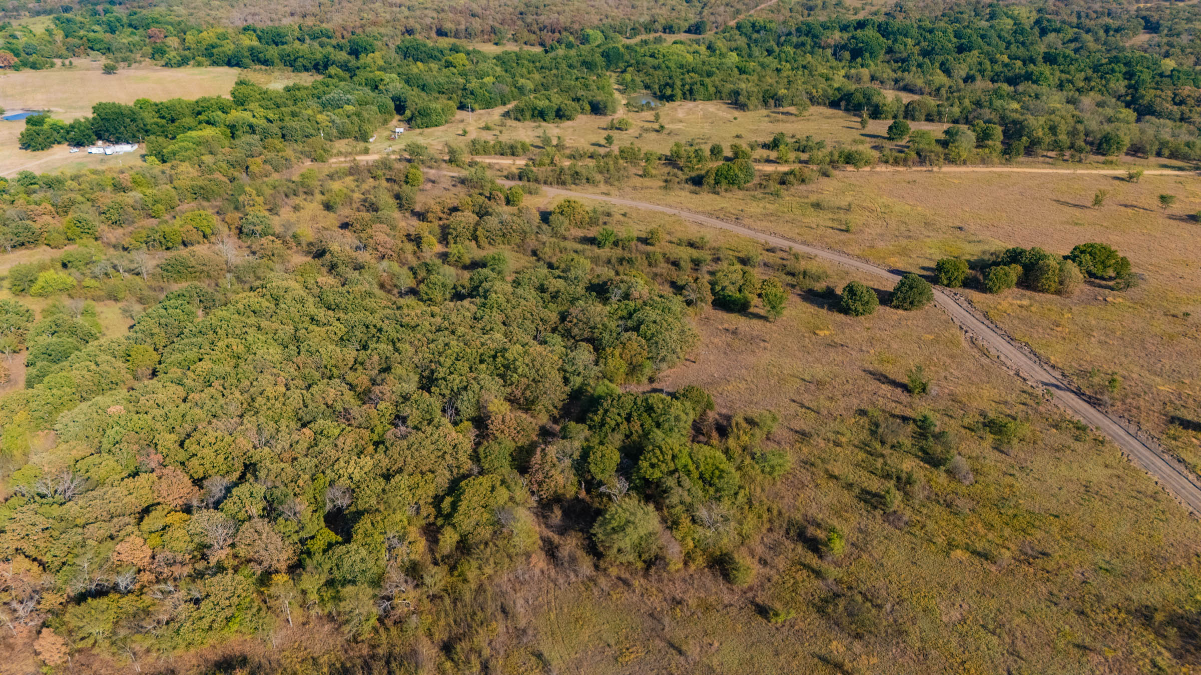 Gracyn Meadows Tract 9 photo 4