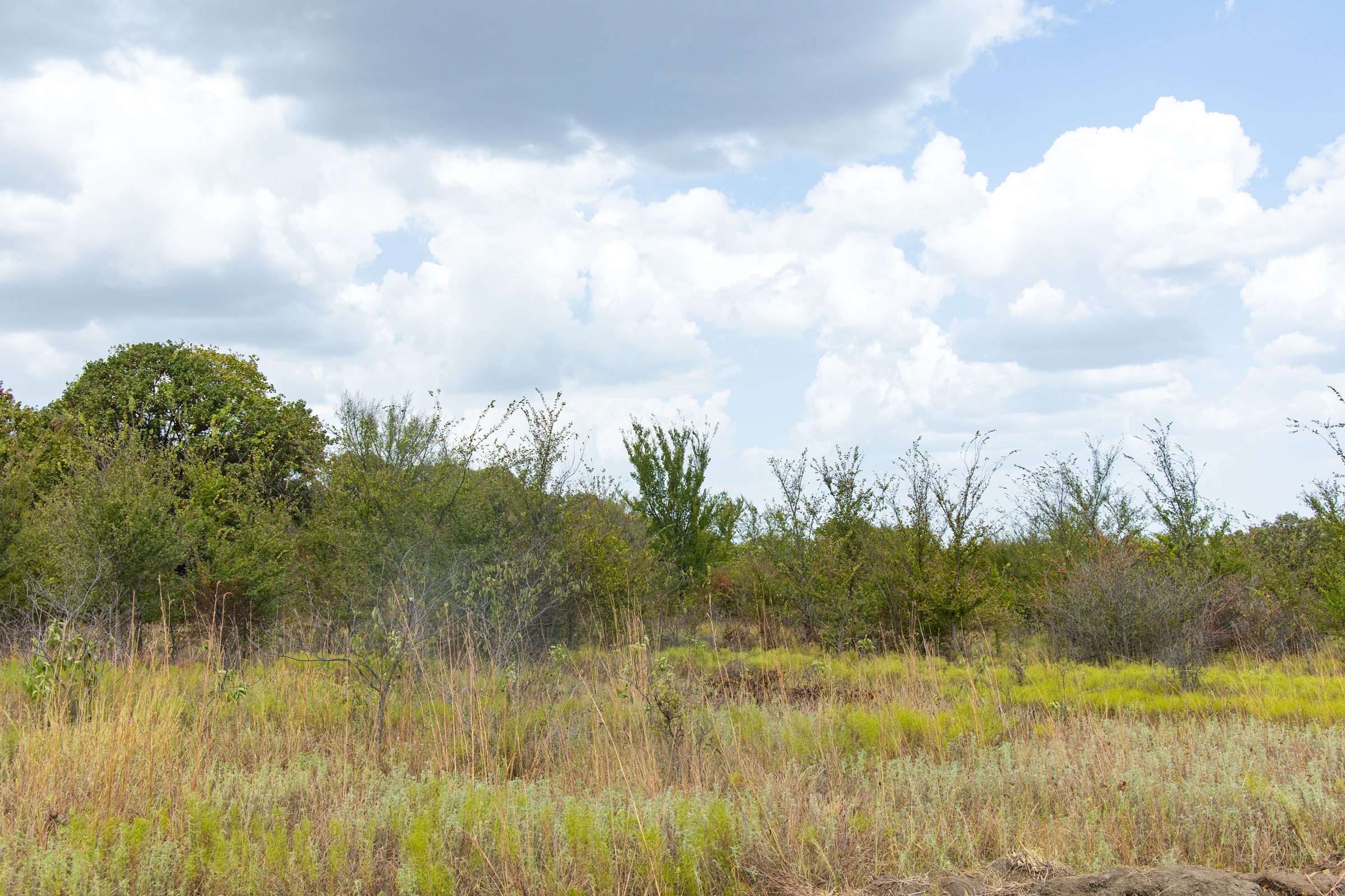 Gracyn Meadows Tract 9 photo 10