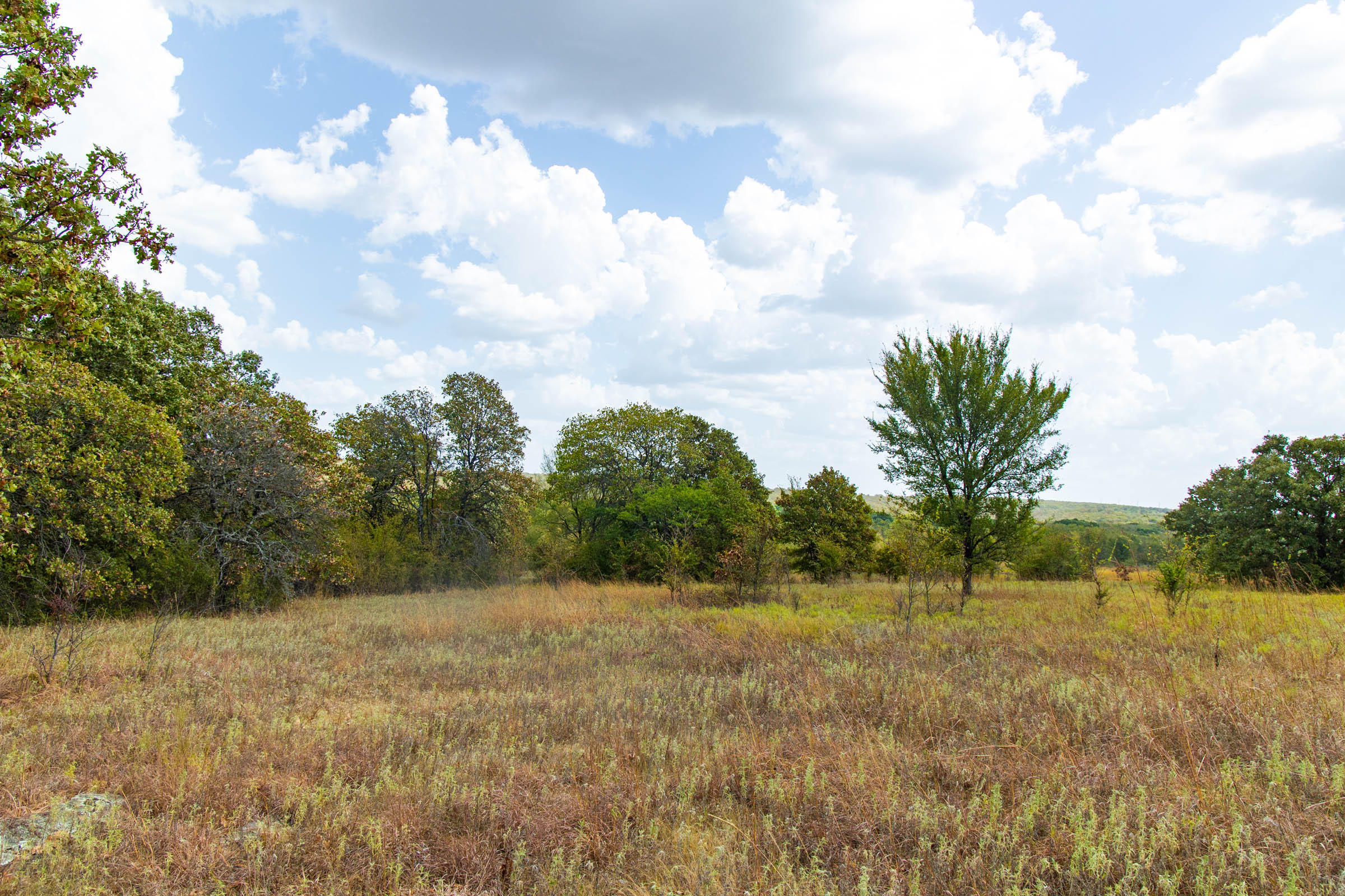 Gracyn Meadows Tract 9 photo 6