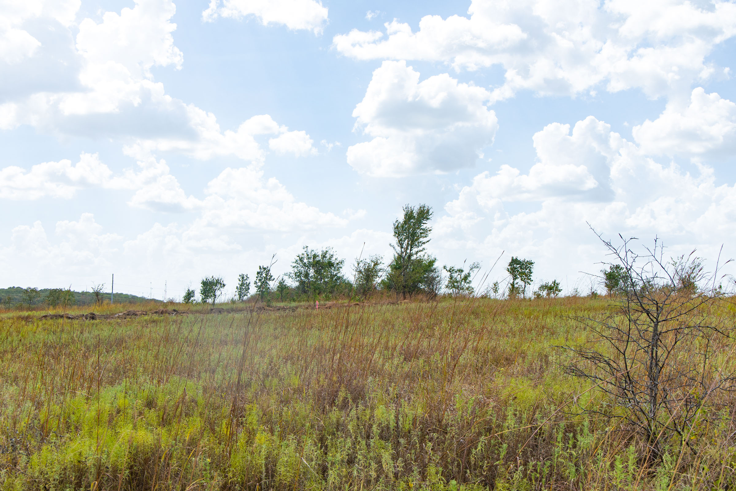 Gracyn Meadows Tract 9 photo 15