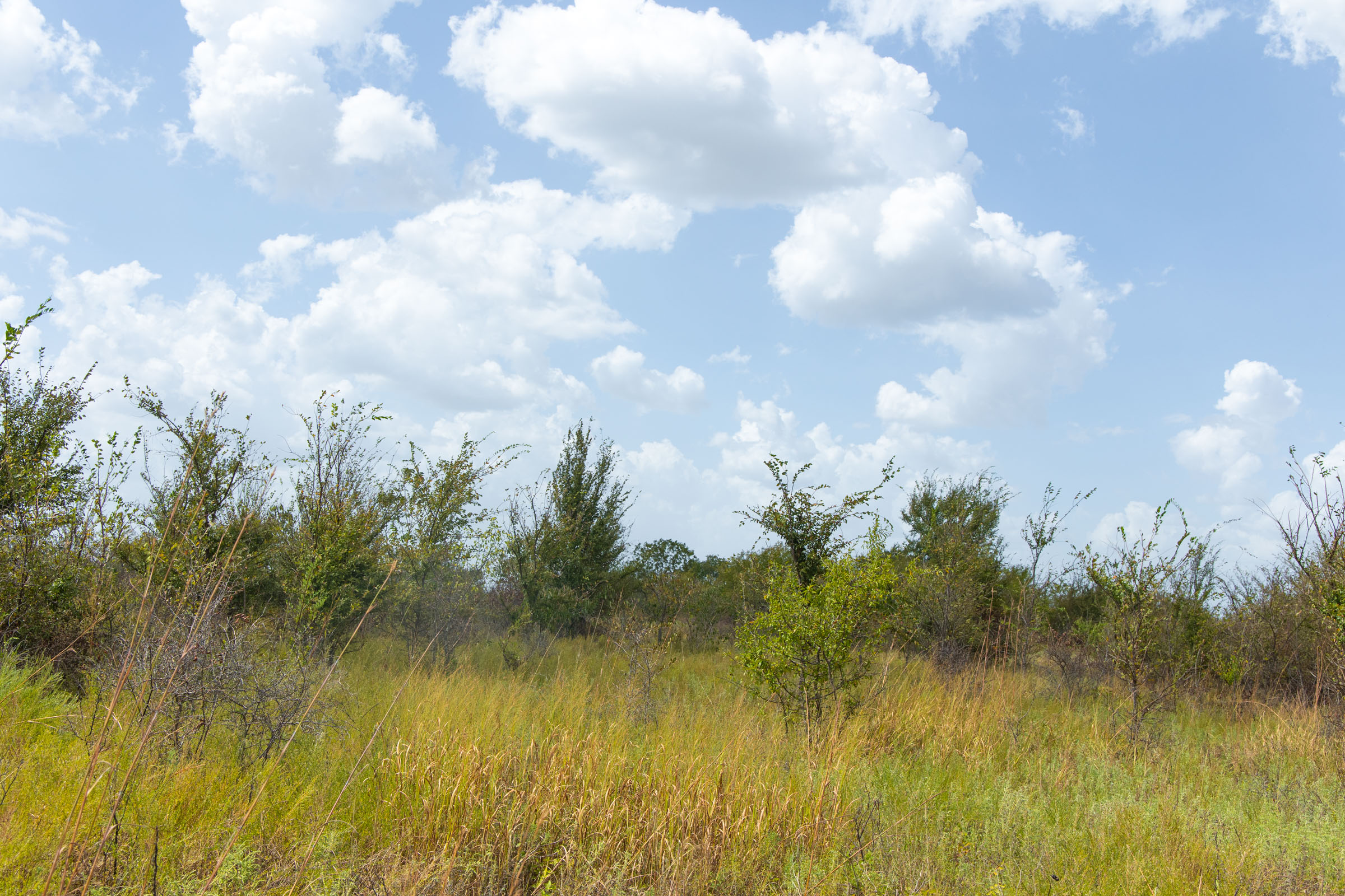 Gracyn Meadows Tract 9 photo 2