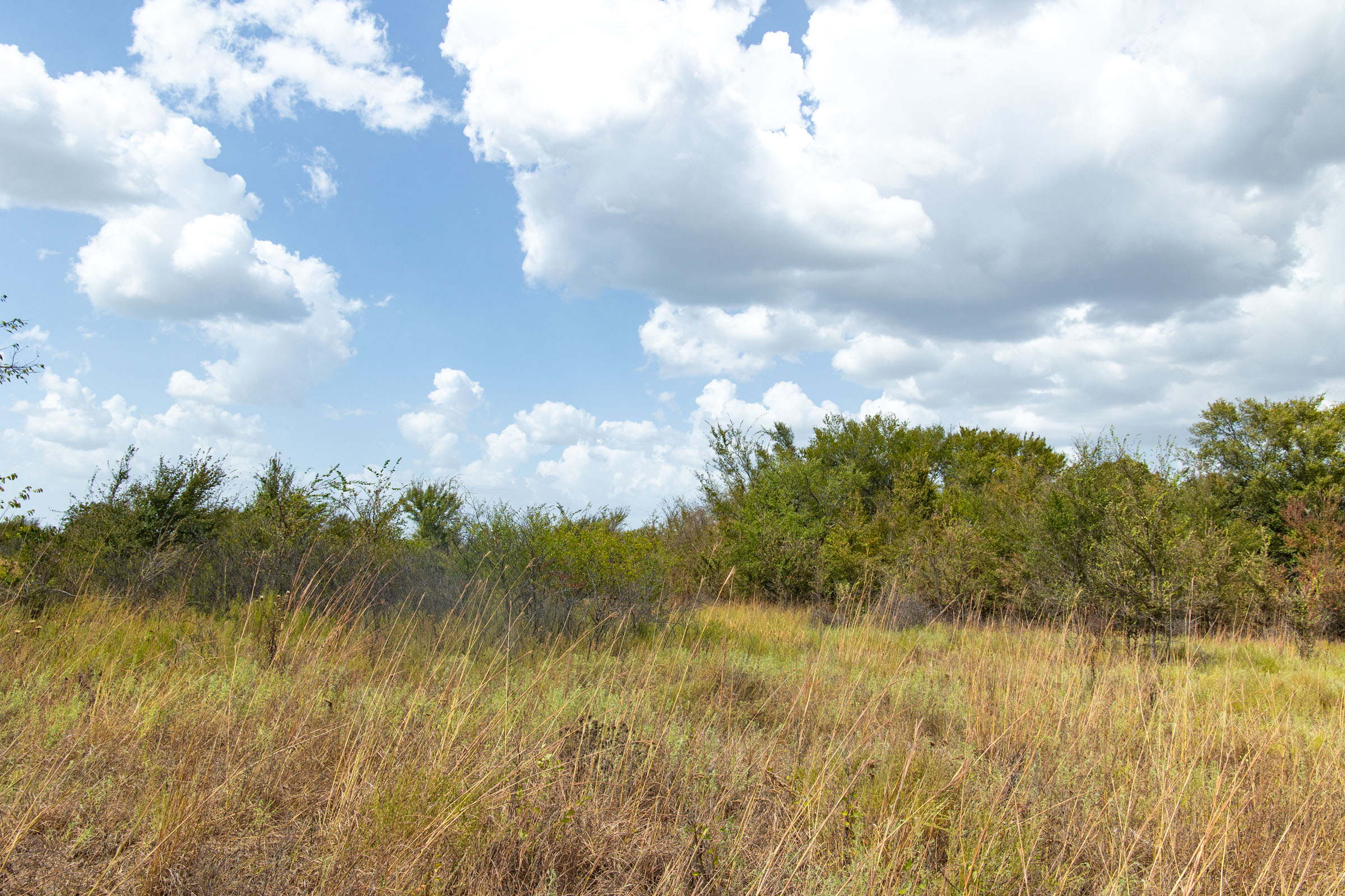 Gracyn Meadows Tract 9 photo 3