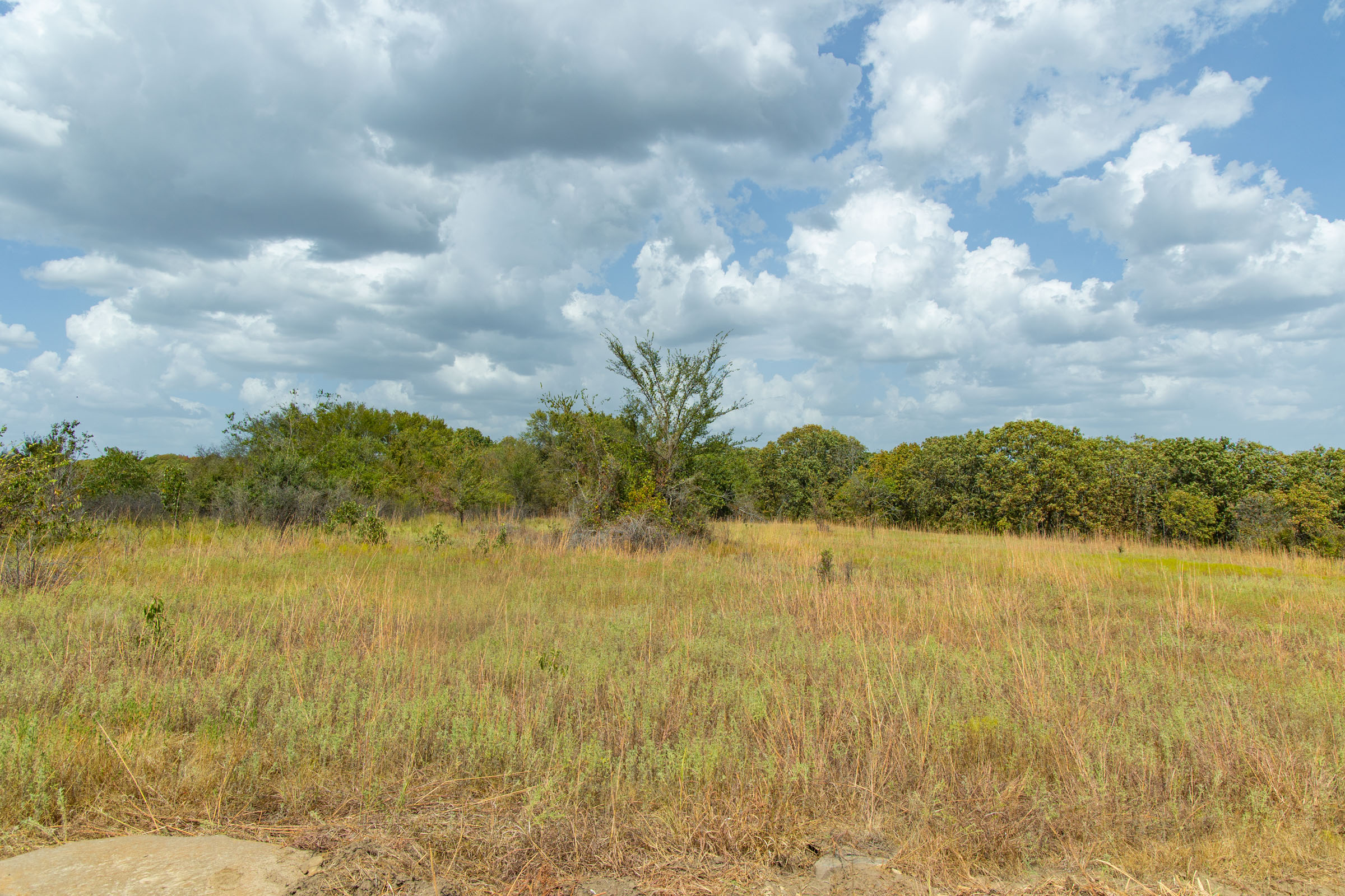 Gracyn Meadows Tract 9 photo 14