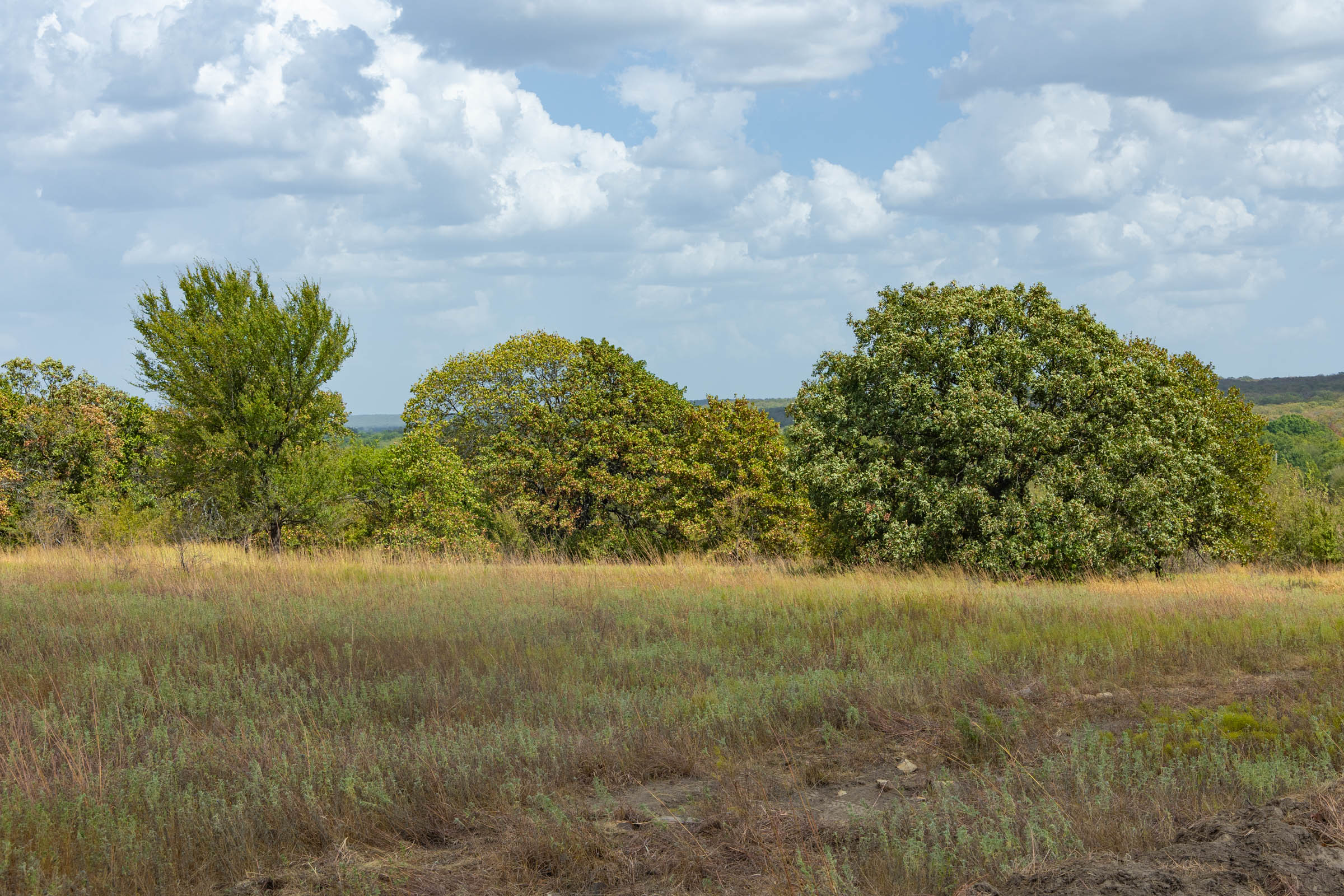 Gracyn Meadows Tract 9 photo 9