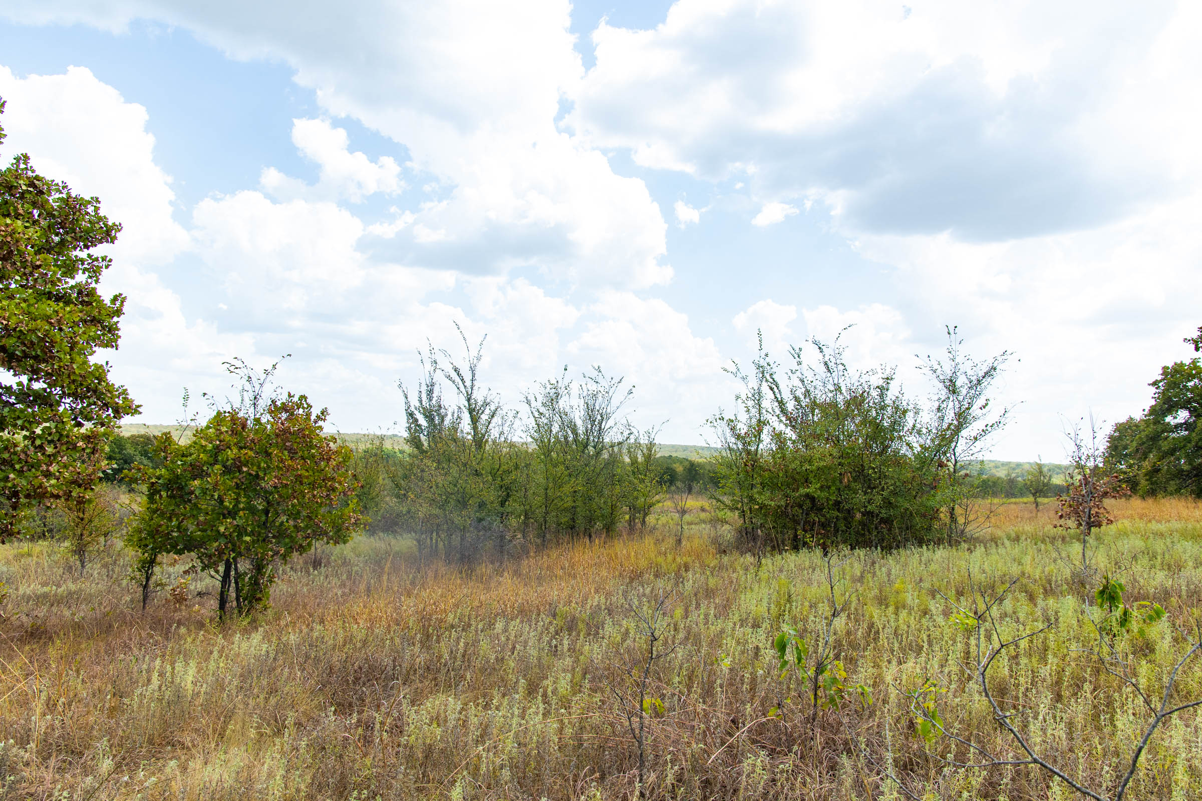 Gracyn Meadows Tract 9 photo 13