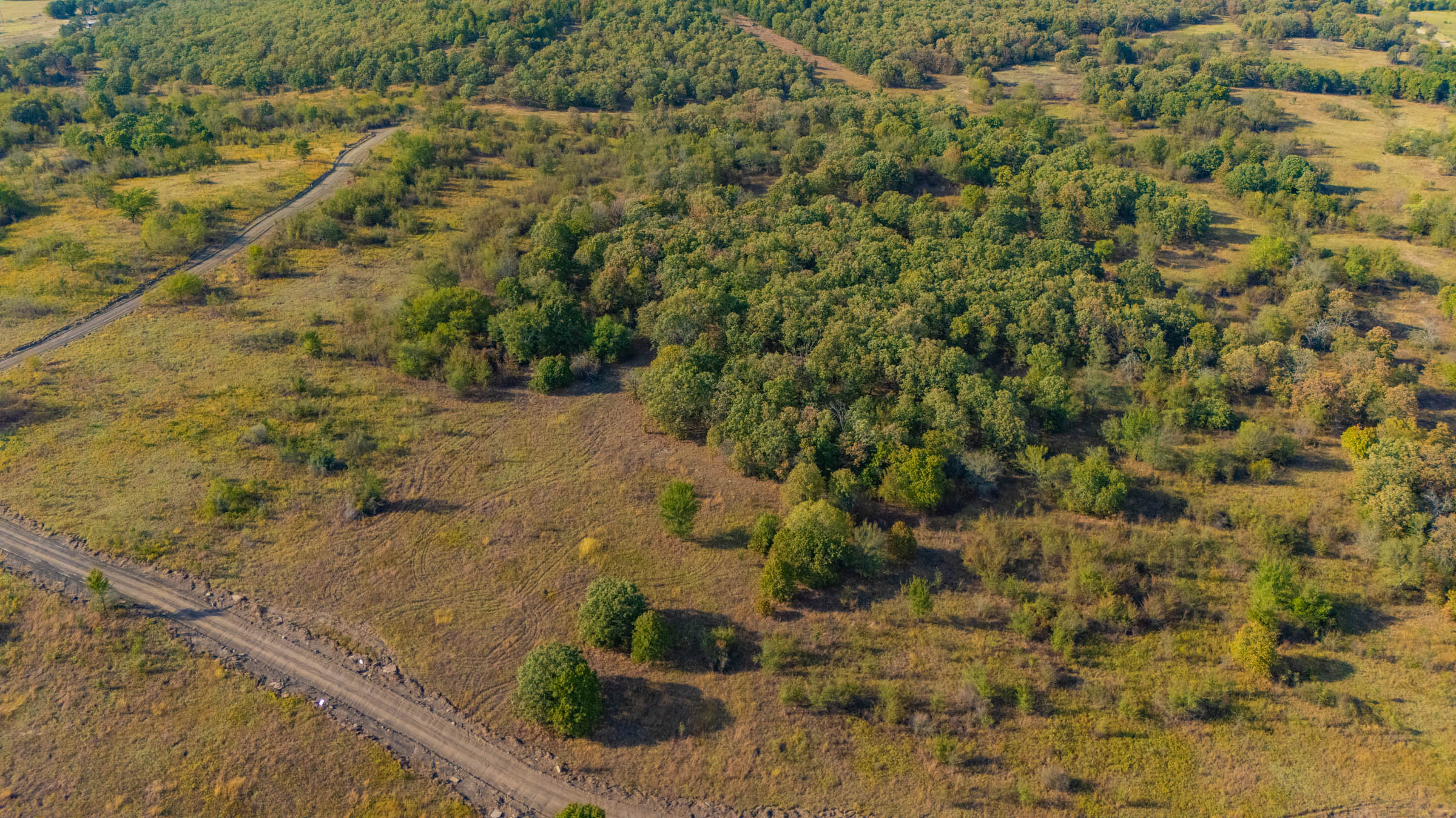 Gracyn Meadows Tract 9 photo 1