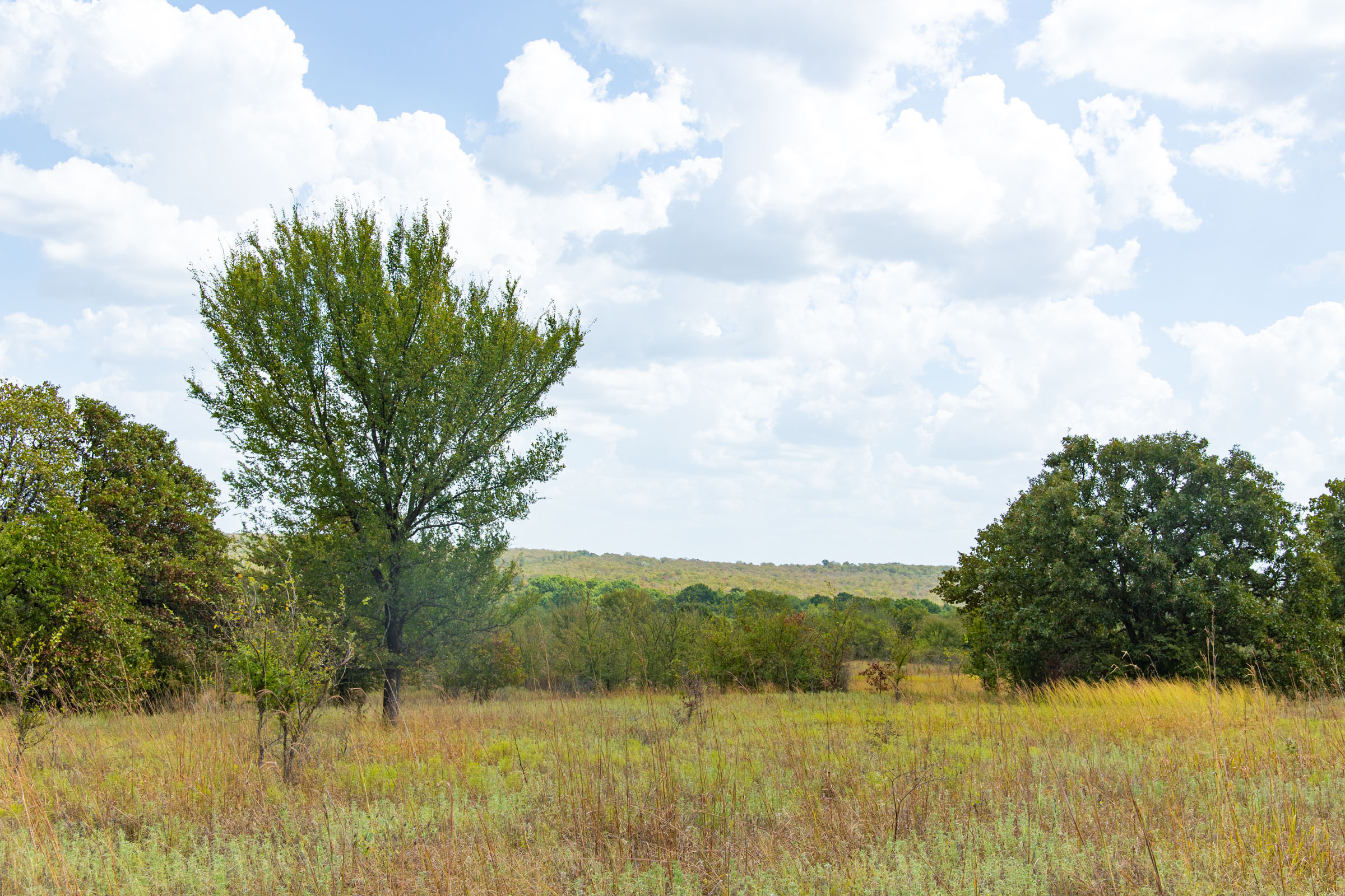 Gracyn Meadows Tract 9 photo 11