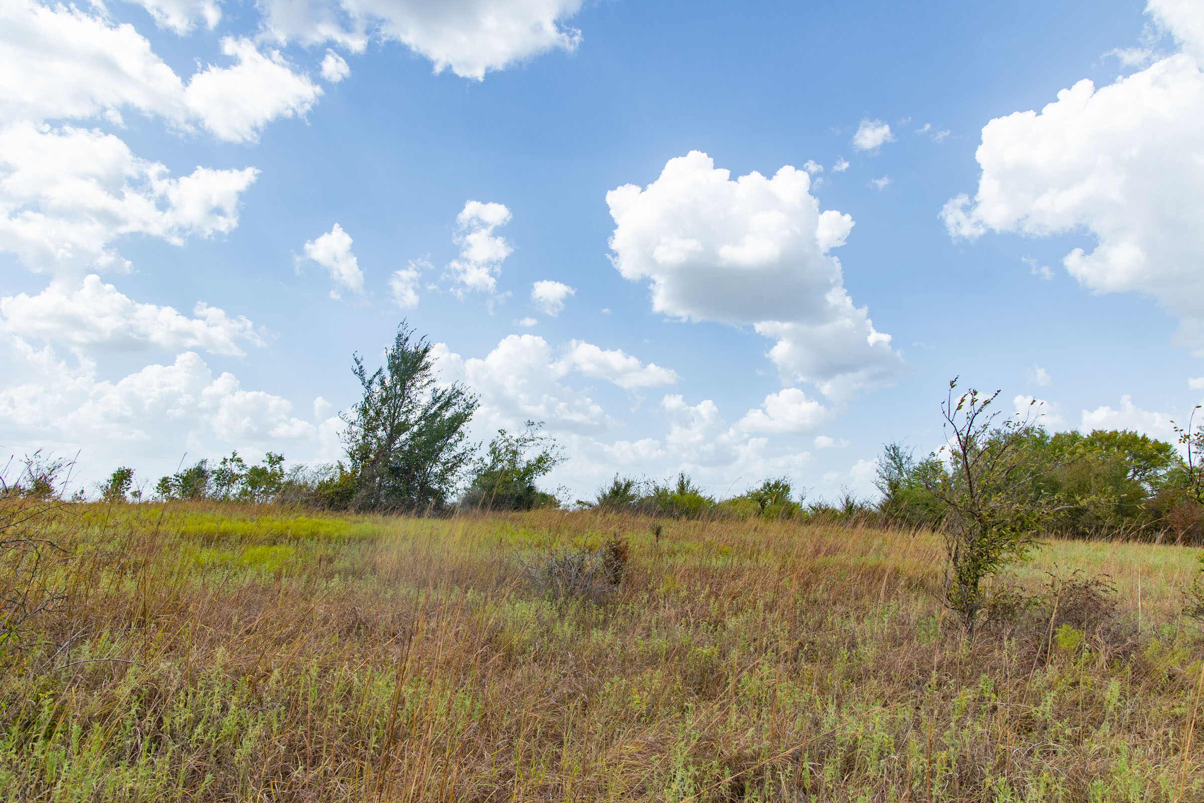 Gracyn Meadows Tract 9 photo 16