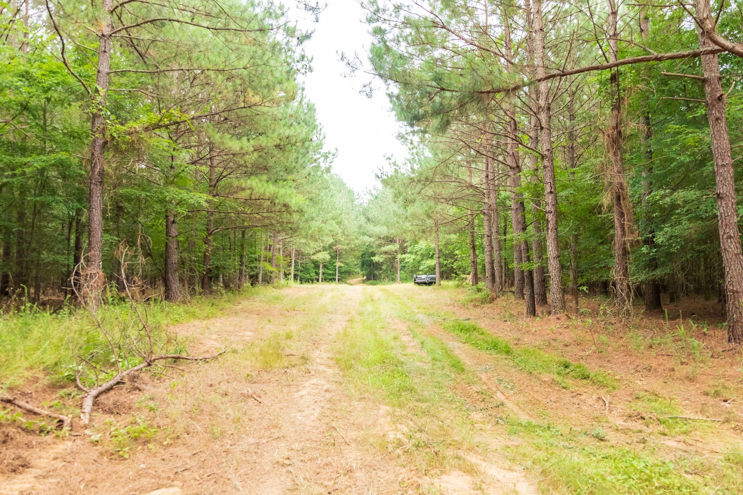 Whiskey Ridge Tract 61 photo 10