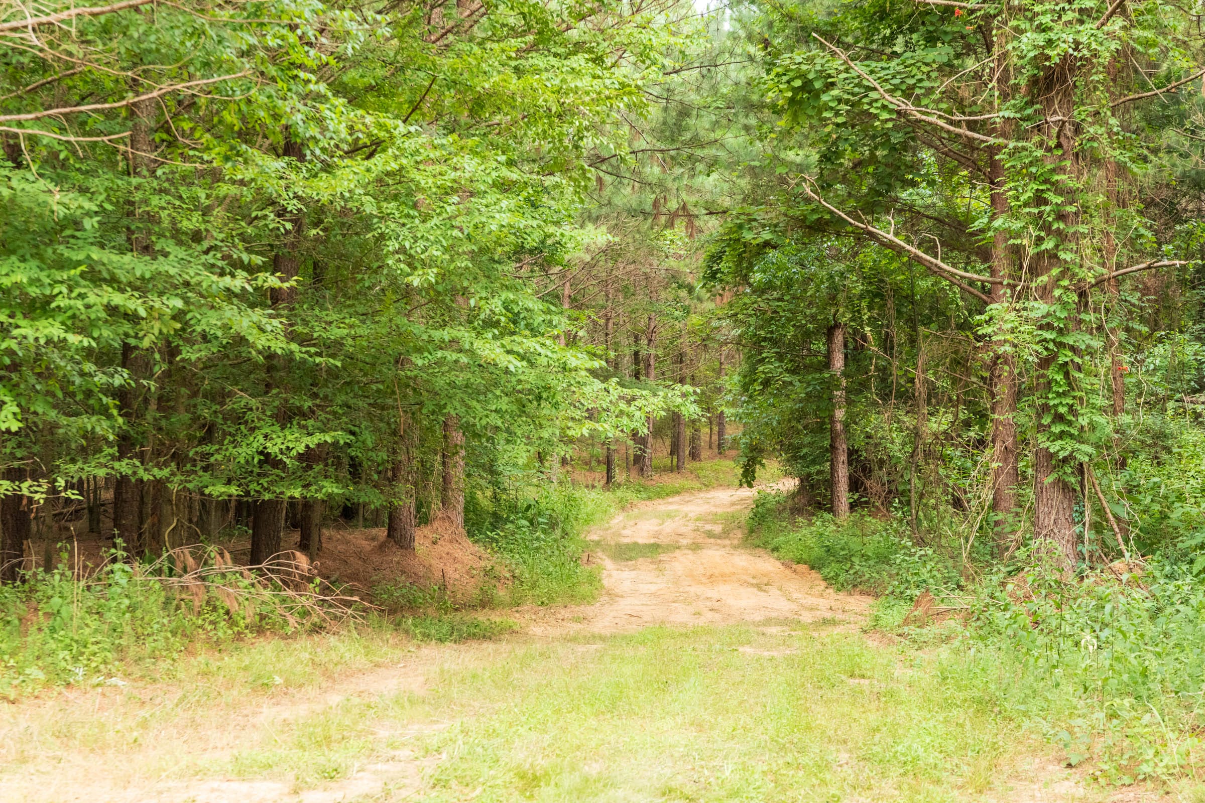 Whiskey Ridge Tract 61 photo 1