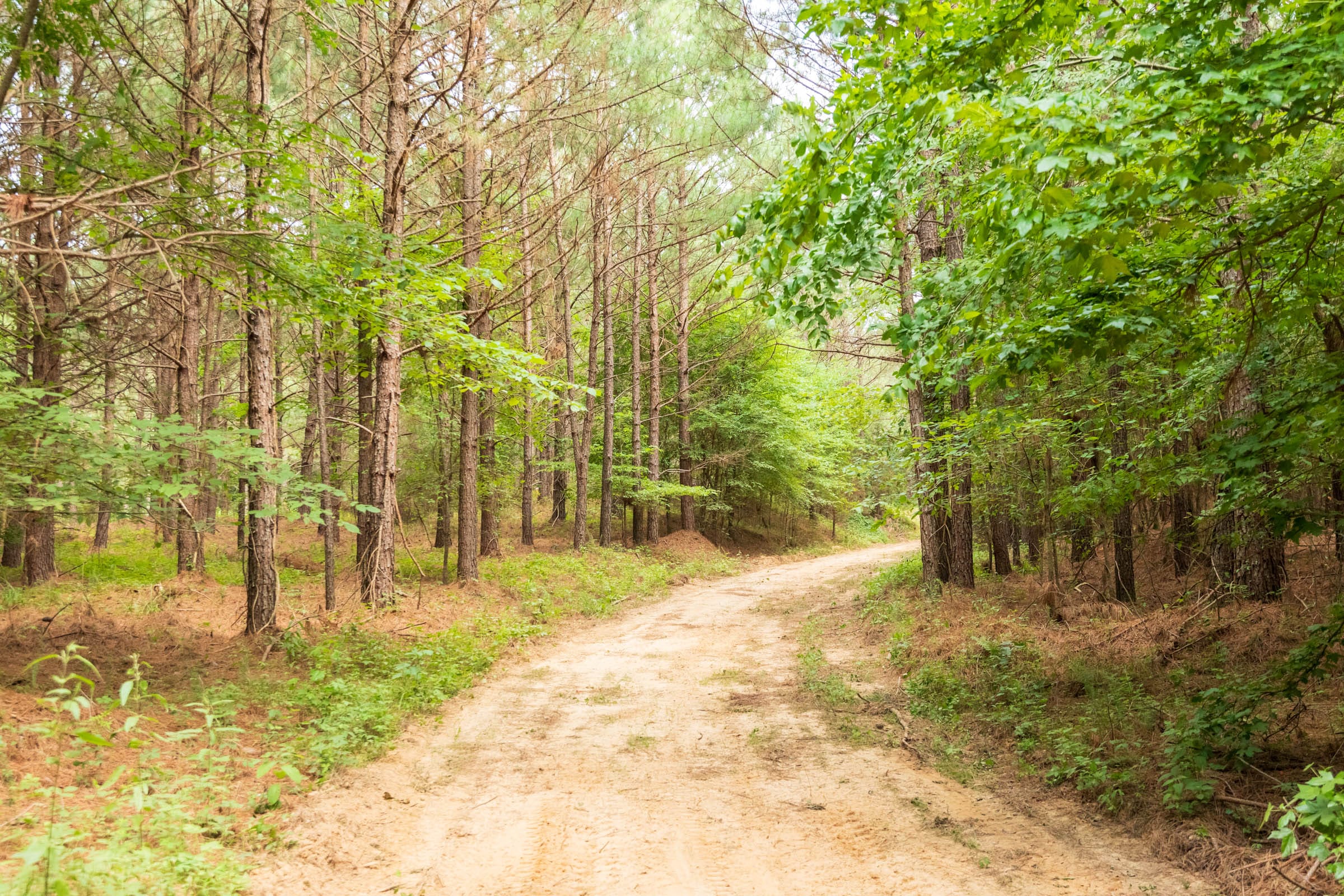 Whiskey Ridge Tract 61 photo 16