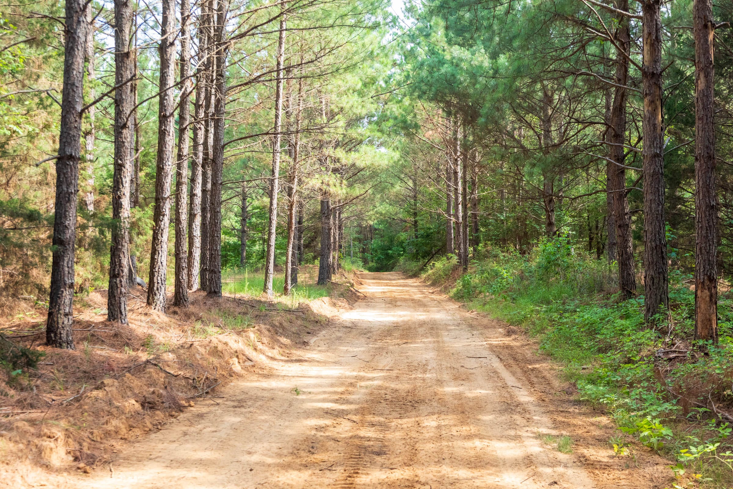 Whiskey Ridge Tract 61 photo 5