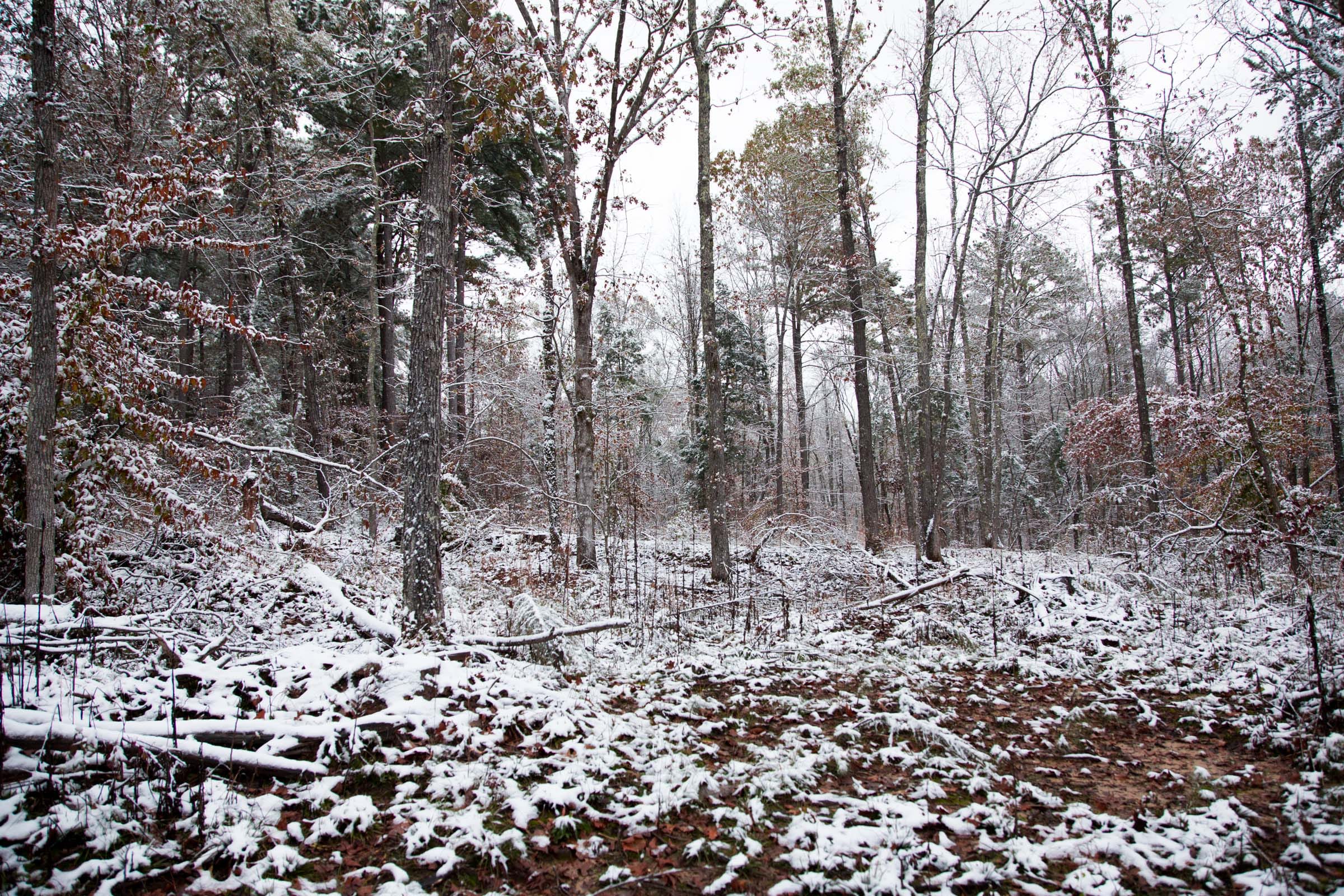 Sweet Water Ranch Tract 23 photo 2