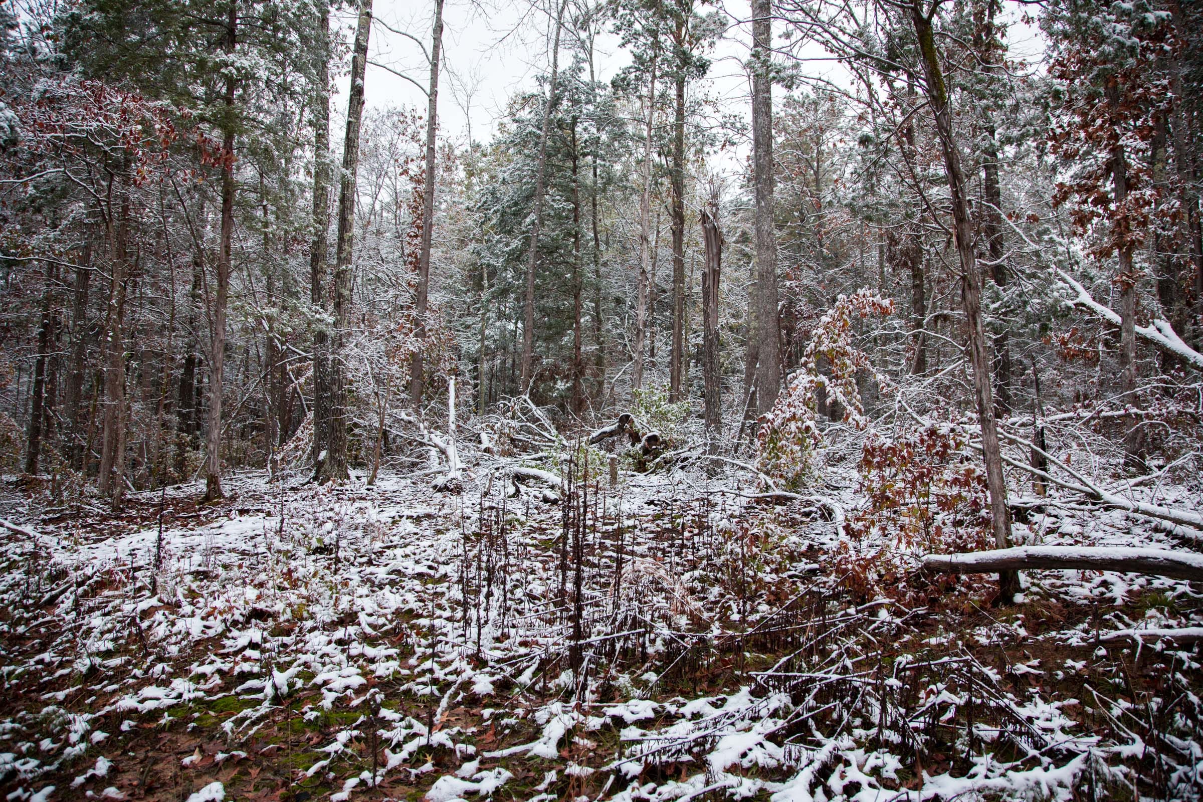 Sweet Water Ranch Tract 23 photo 3