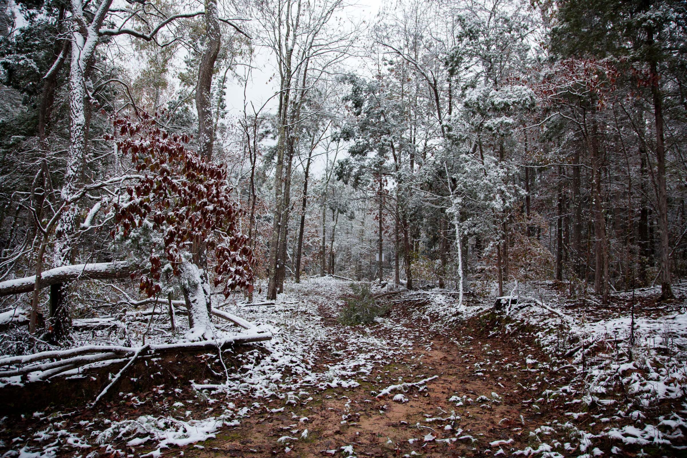 Sweet Water Ranch Tract 23 photo 4