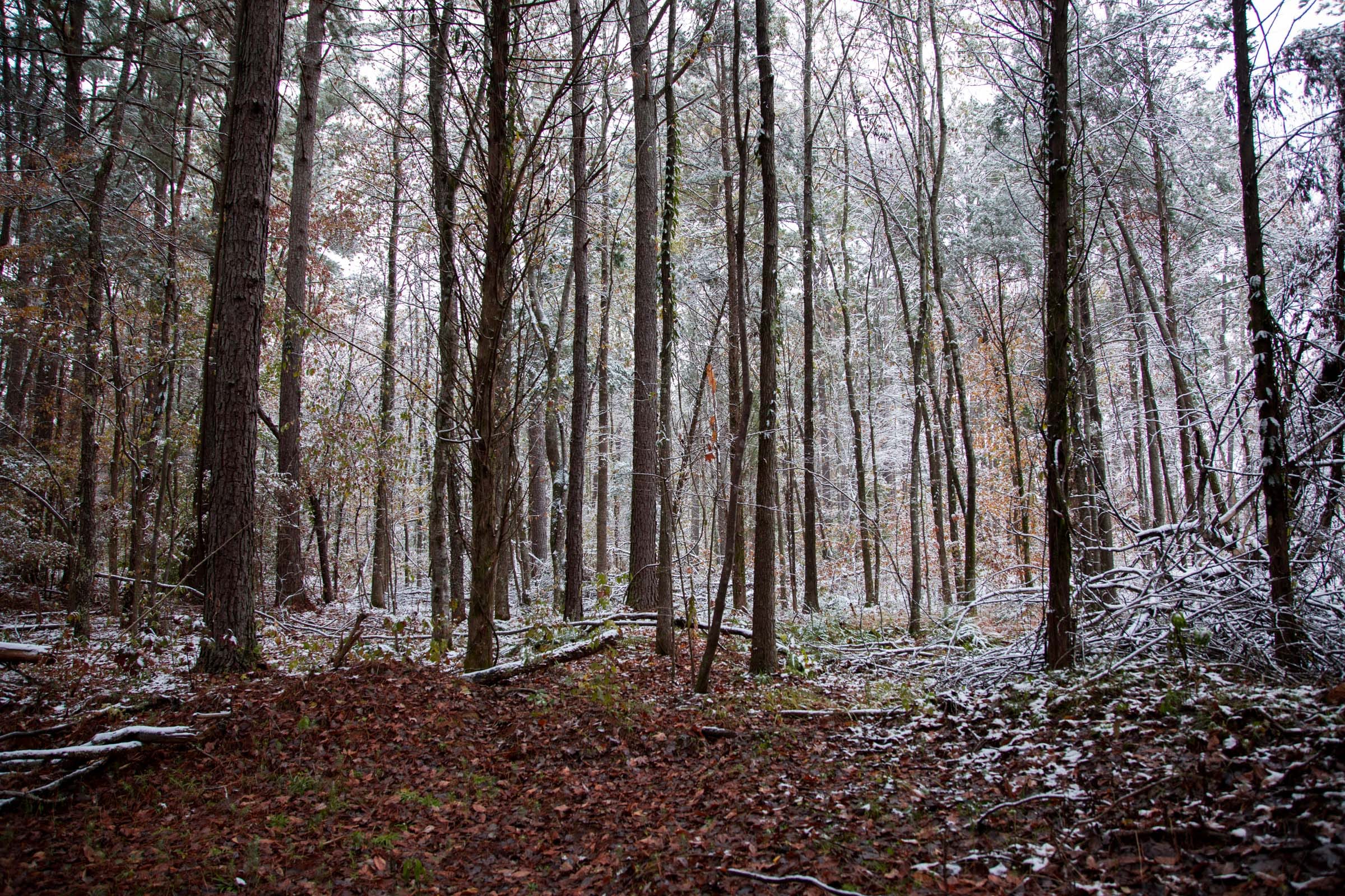 Sweet Water Ranch Tract 23 photo 6