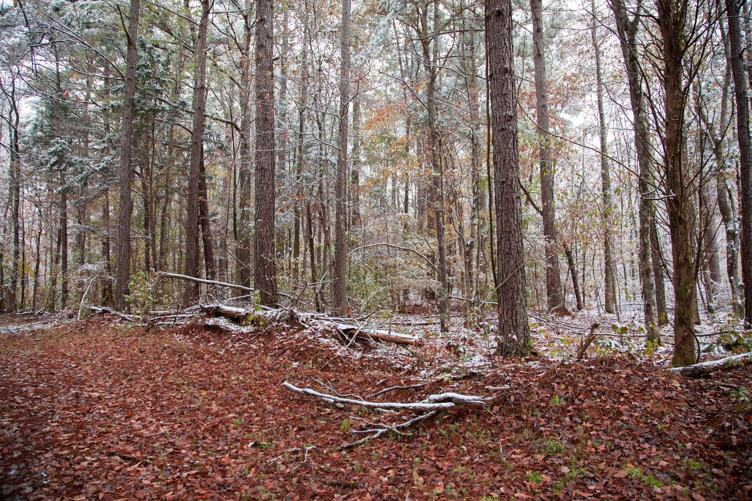 Sweet Water Ranch Tract 23 photo 7