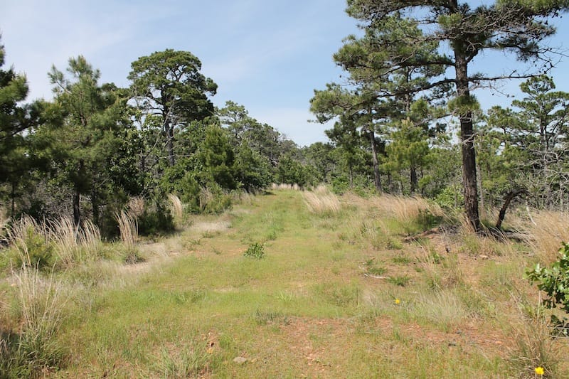 Indian Ridge – Phase II Tract 66 photo 1