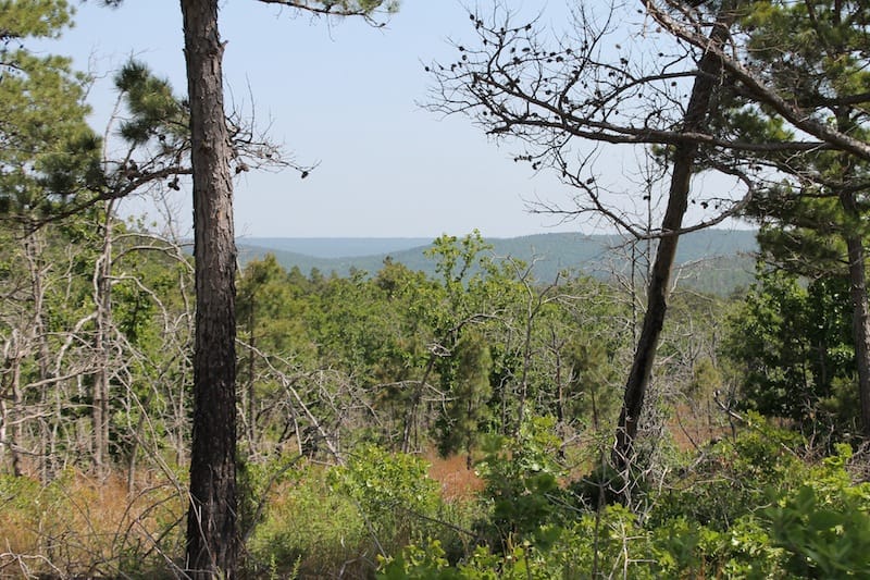 Indian Ridge – Phase II Tract 66 photo 3