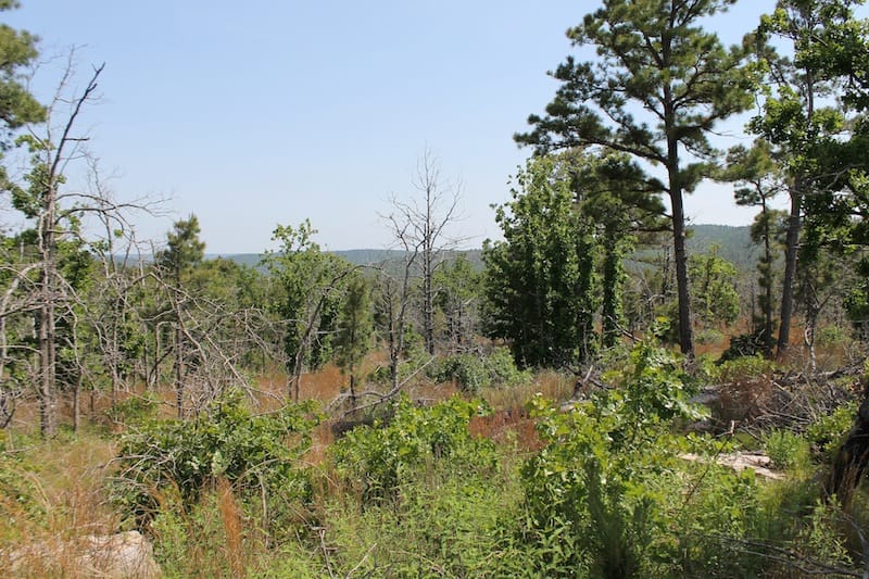 Indian Ridge – Phase II Tract 66 photo 6