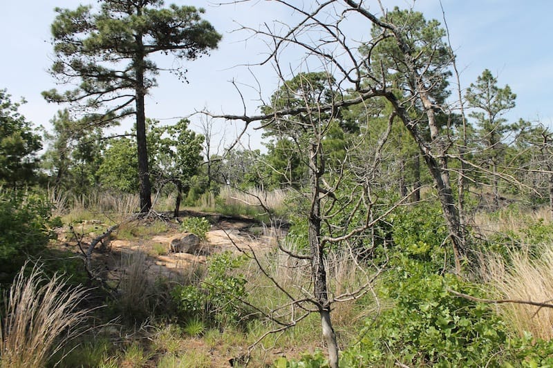 Indian Ridge – Phase II Tract 66 photo 7