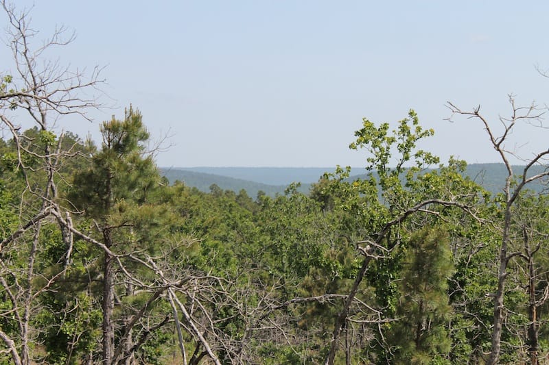 Indian Ridge – Phase II Tract 66 photo 8