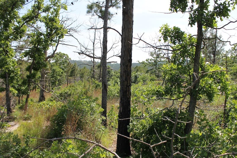 Indian Ridge – Phase II Tract 66 photo 9