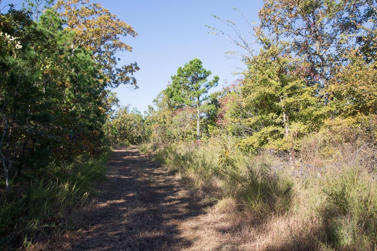 Stone Creek Phase I Tract 155 photo 1